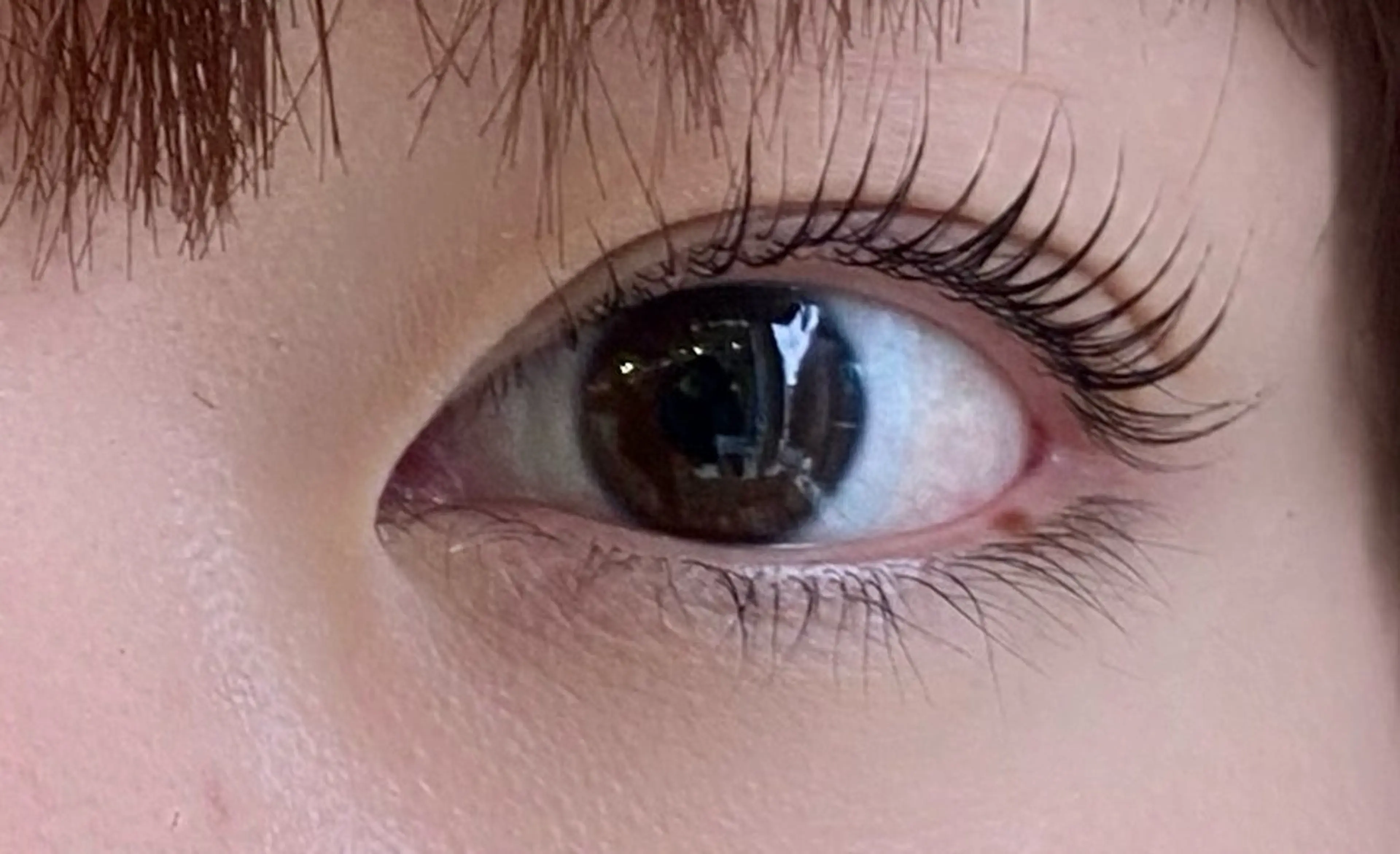 マツエク・マツパ マツパ les baladins du miroir所属・🍃YURI 🍃のヘアスタイル