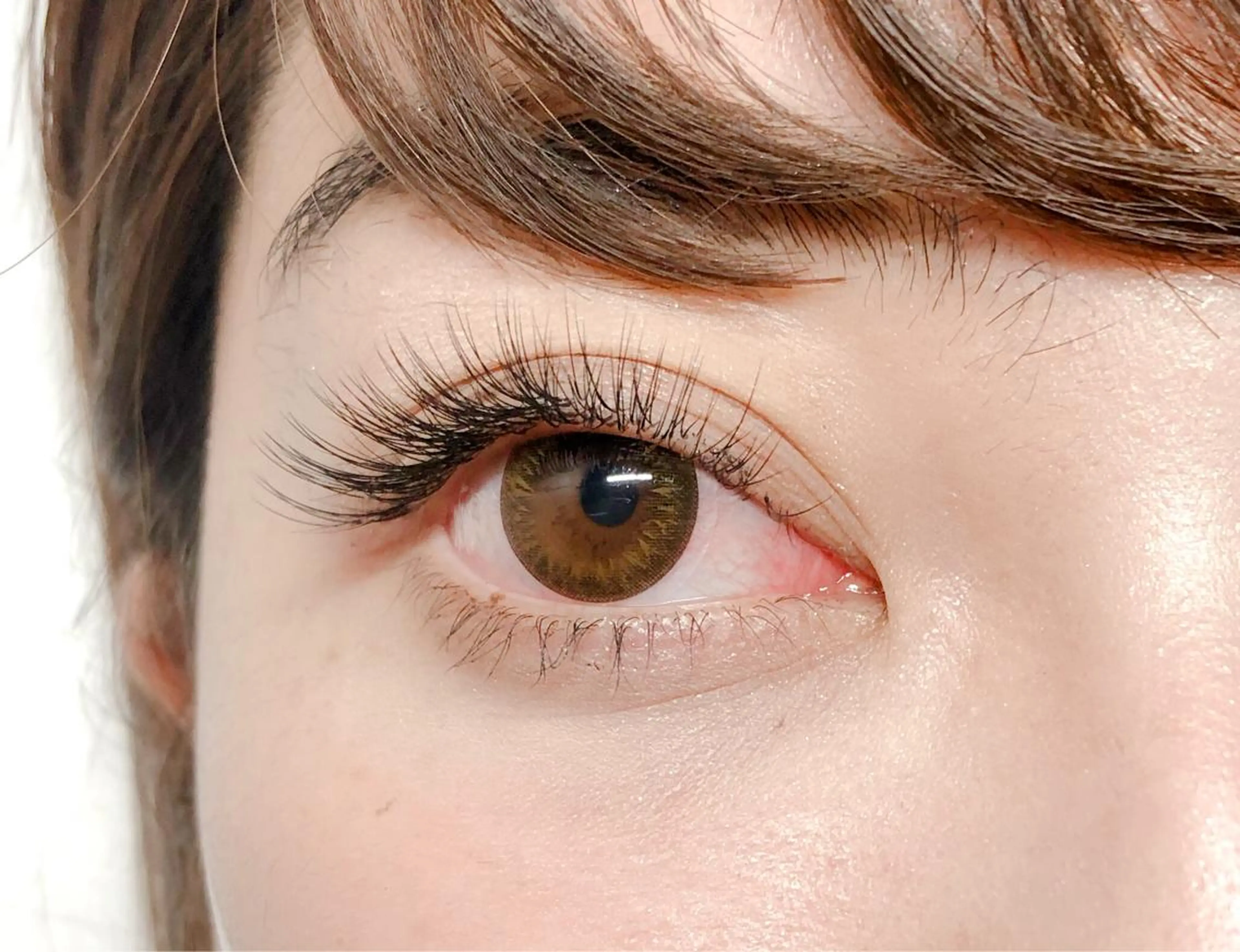 バインドロック80束🌷(オフなし、付け足し不可)の写真