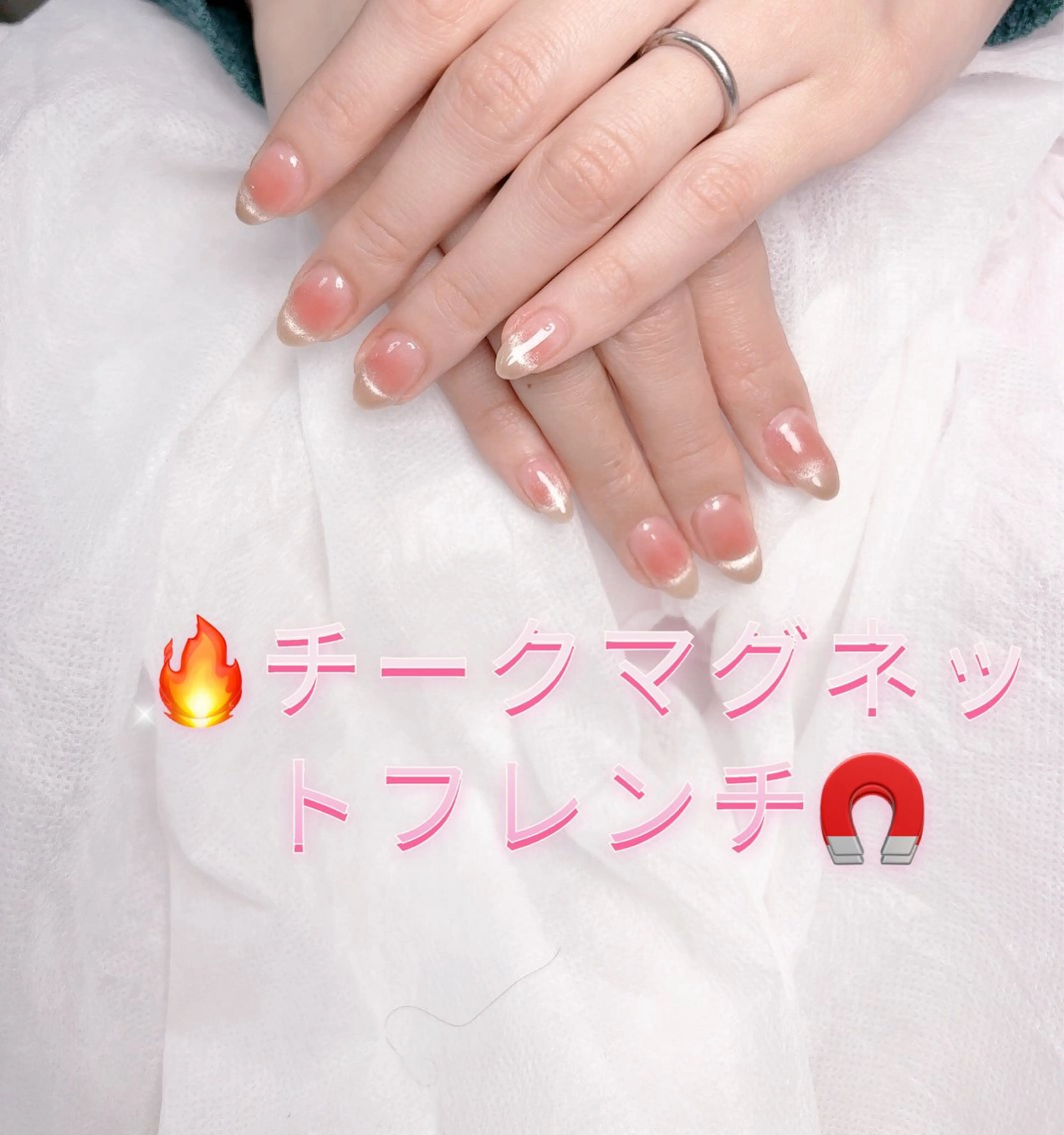 ネイル チークネイル マグネットネイル pink ladyサロン所属・べ にのネイルデザイン