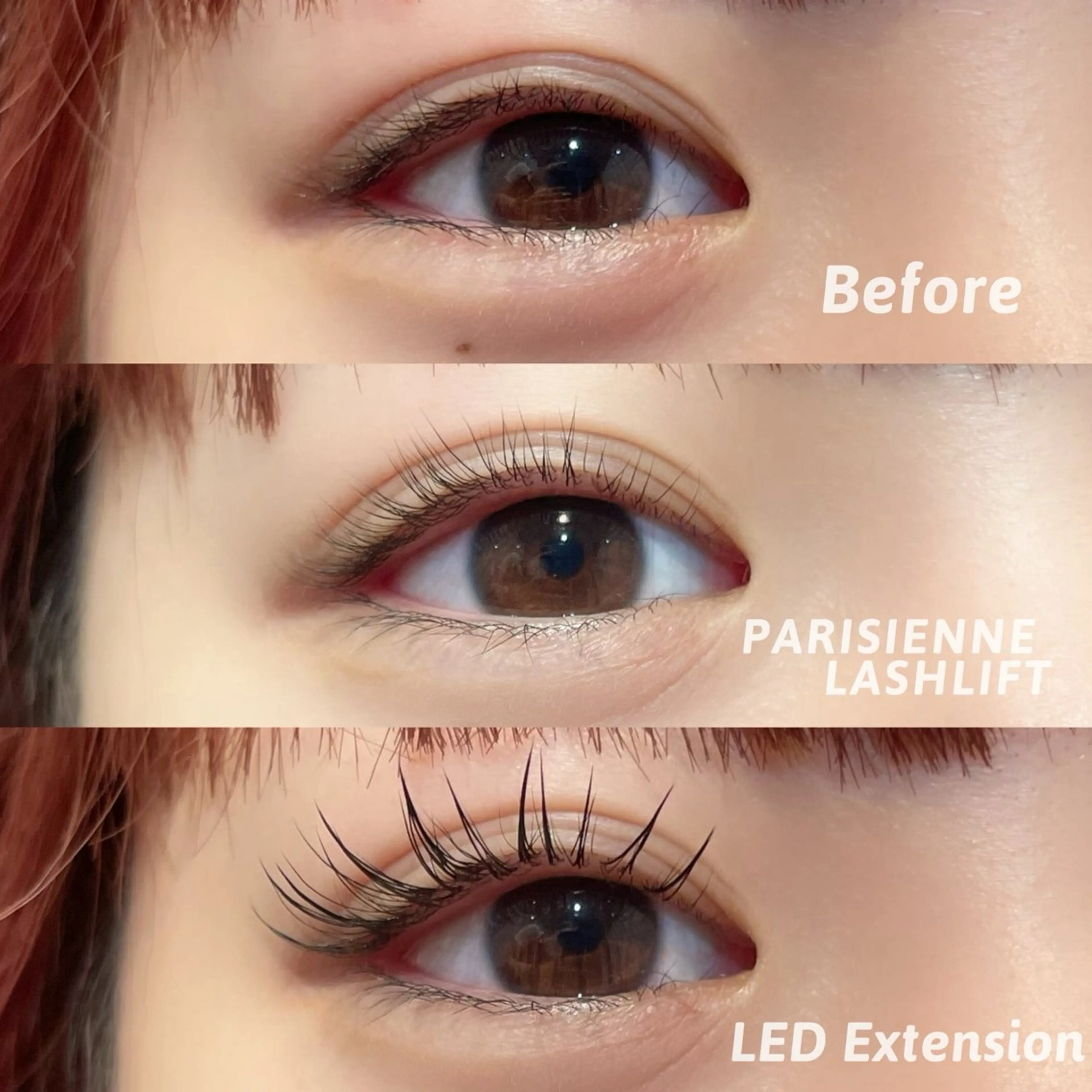 🪽パリエクフラット80本〜の写真