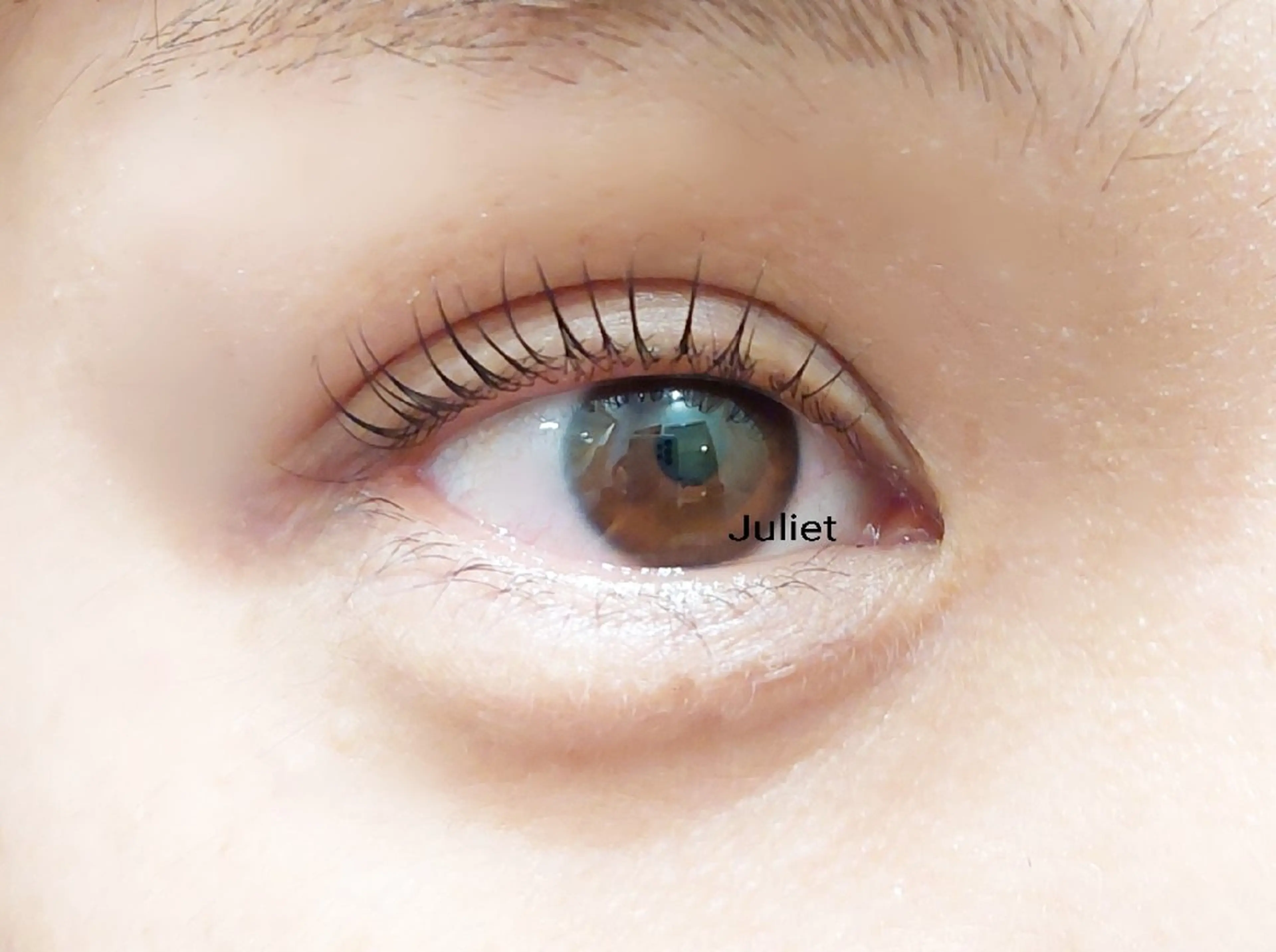 まつ毛パーマ(撮影モデル)ラッシュリフトの写真