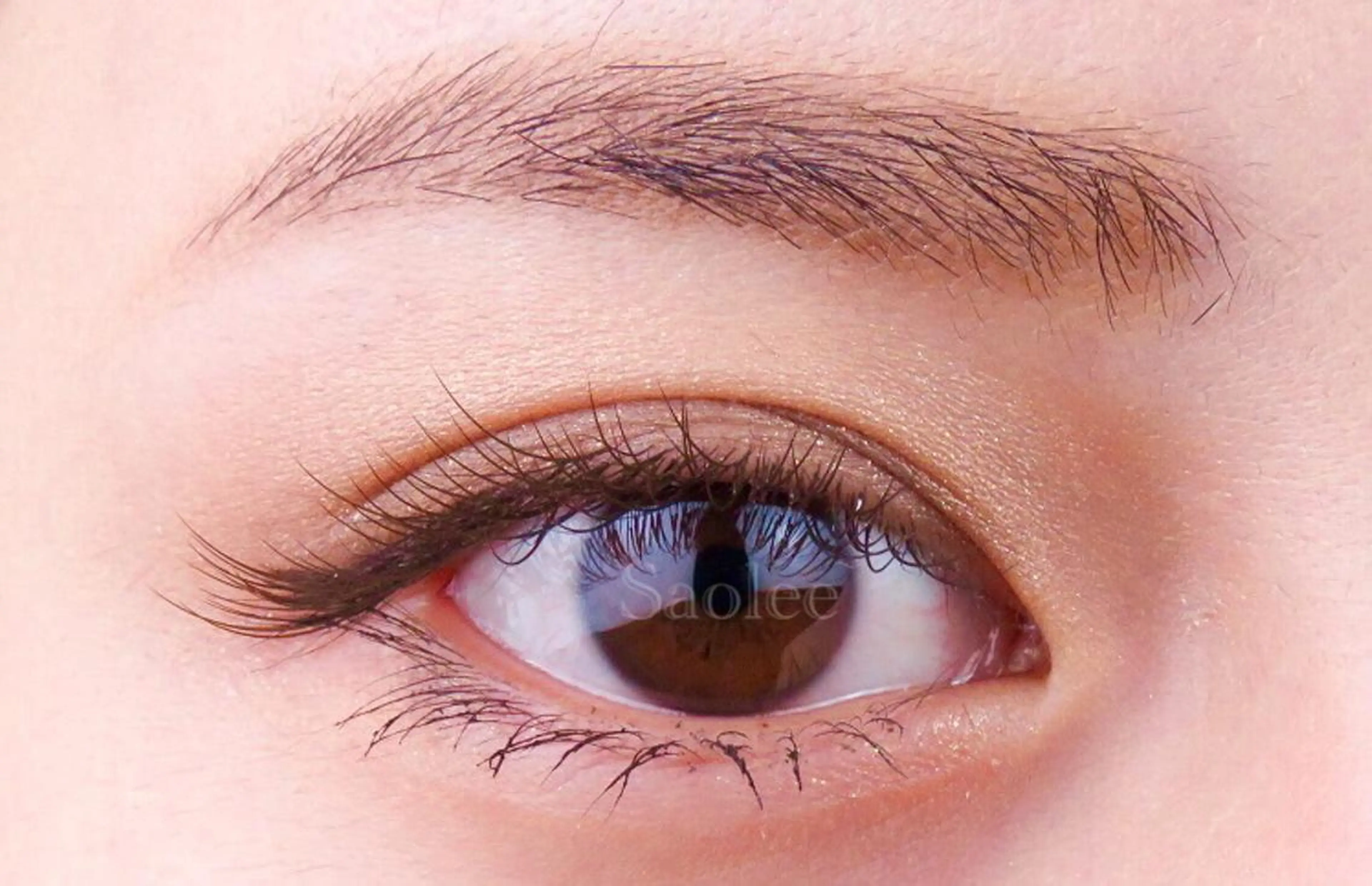 マツエク・マツパ カラーマツエク ゴージャス Jカール セーブル M SAORIのマツエク・マツパデザイン