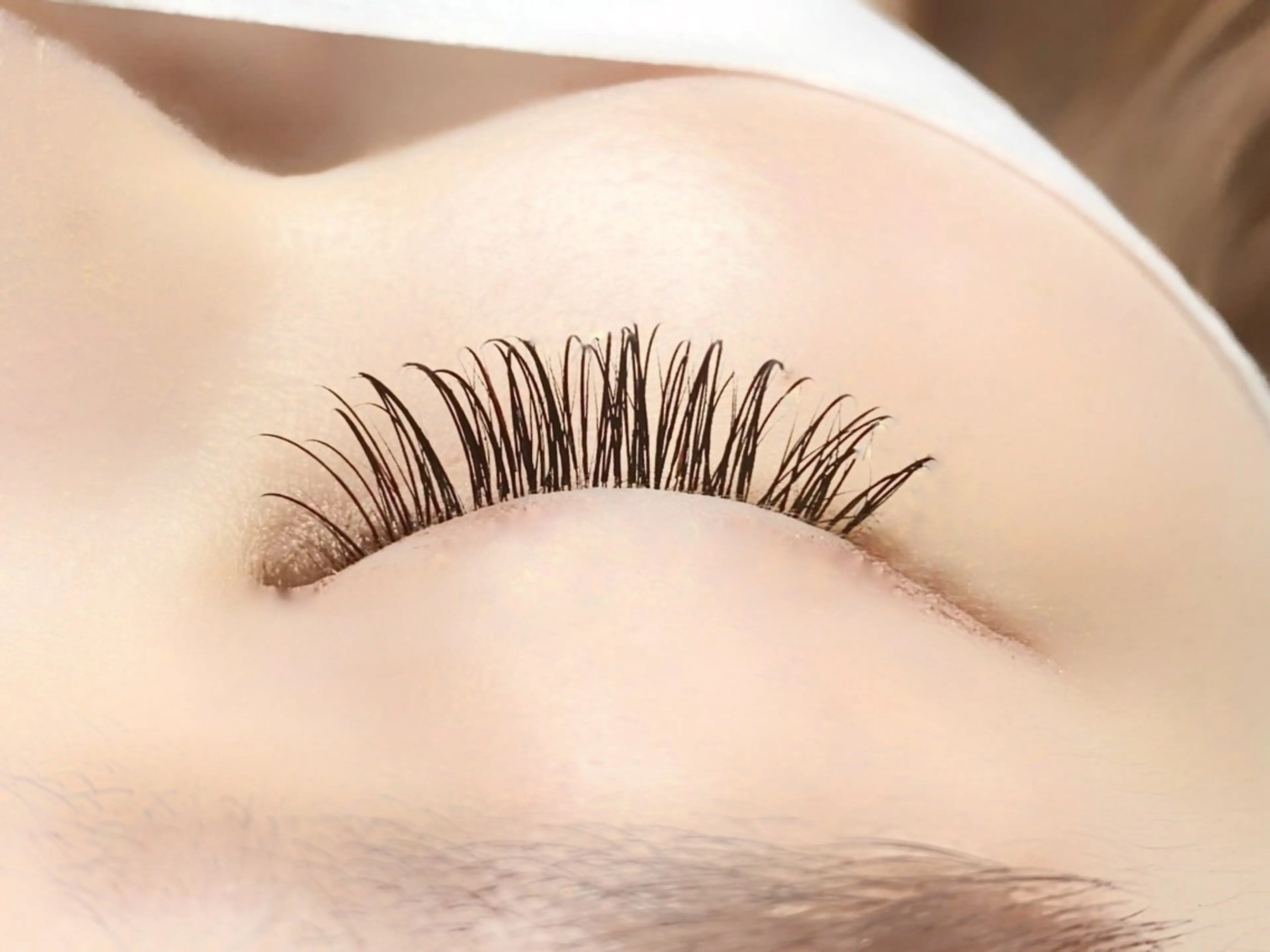 オフ込✨マットブラックフラットラッシュ120本🖤の写真