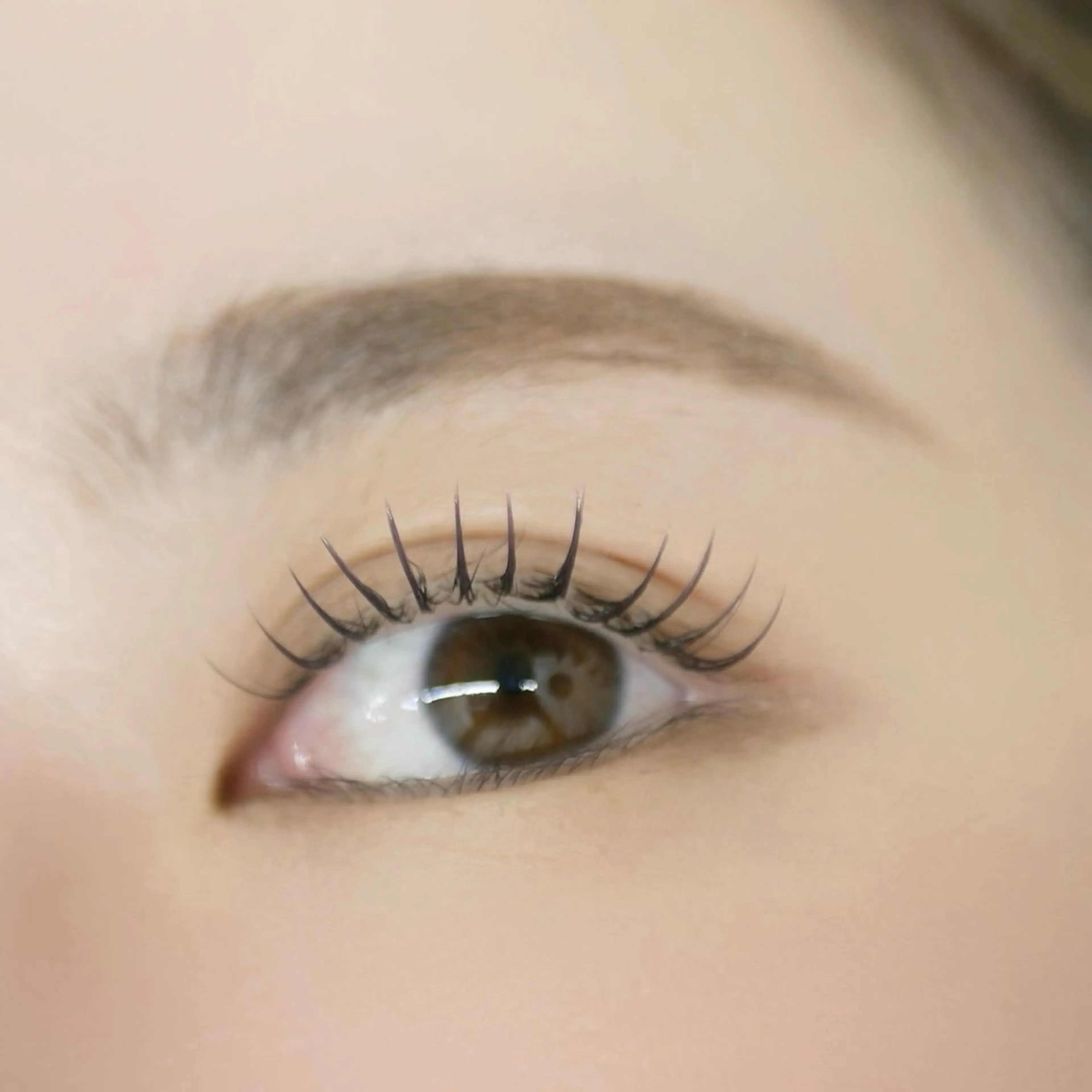 【人気No,1 LEDマツエク🪷】2倍長持ち！高持続フラットラッシュ120本の写真