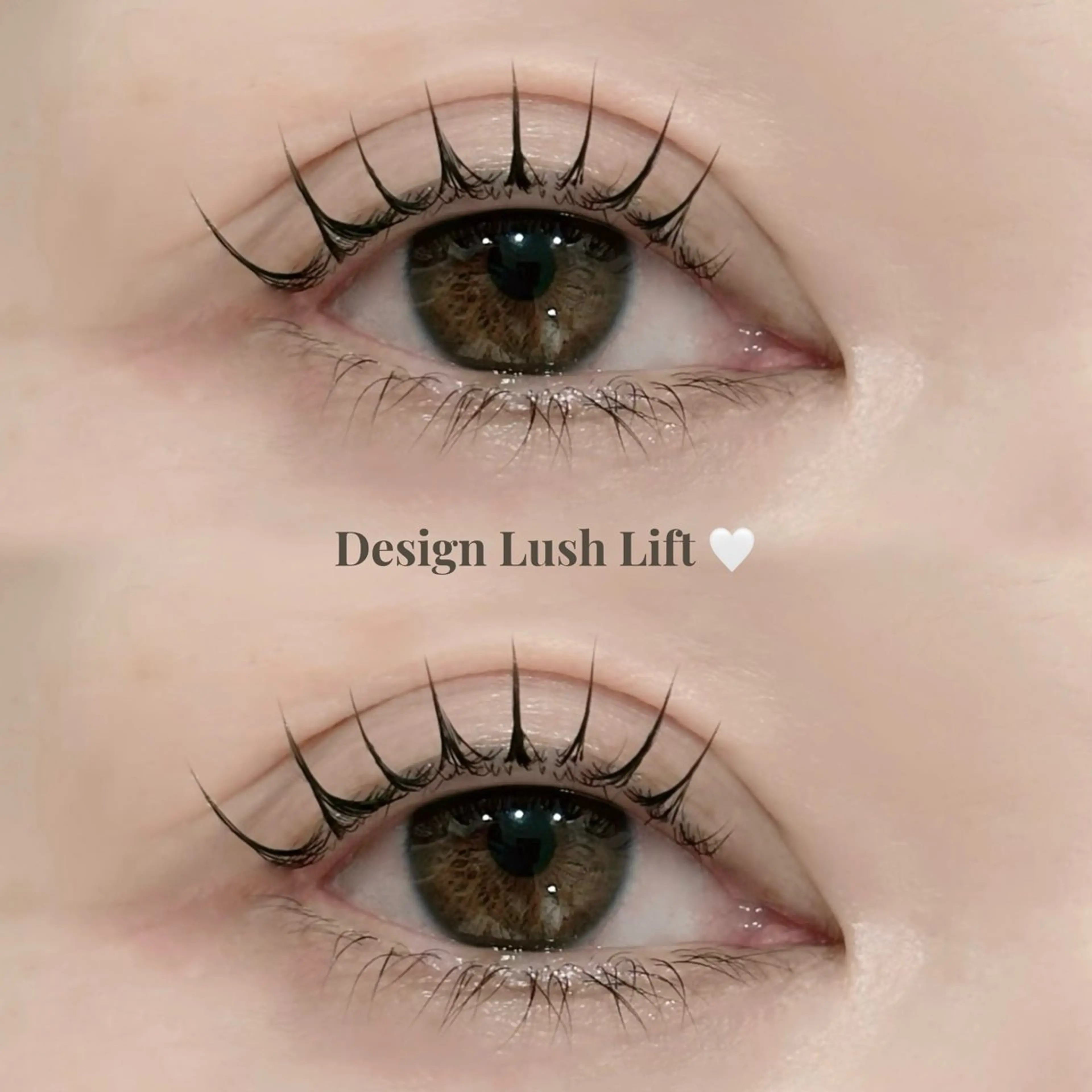 【12月限定◎】ラッシュリフト/まつ毛パーマ🎀🫧デザインご相談可能です♡の写真