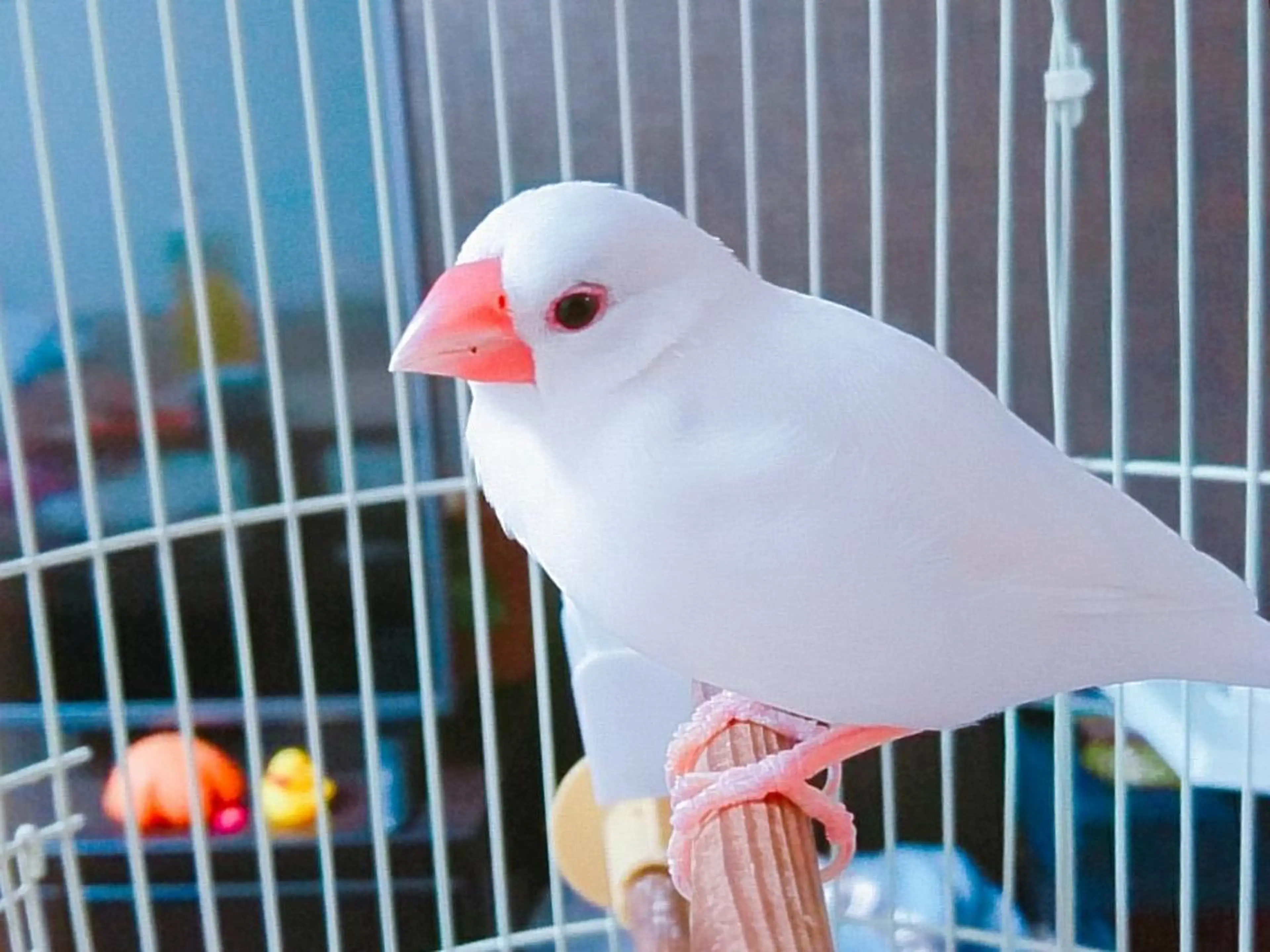 g*rossa高橋 くみこのエステ・リラクイメージ