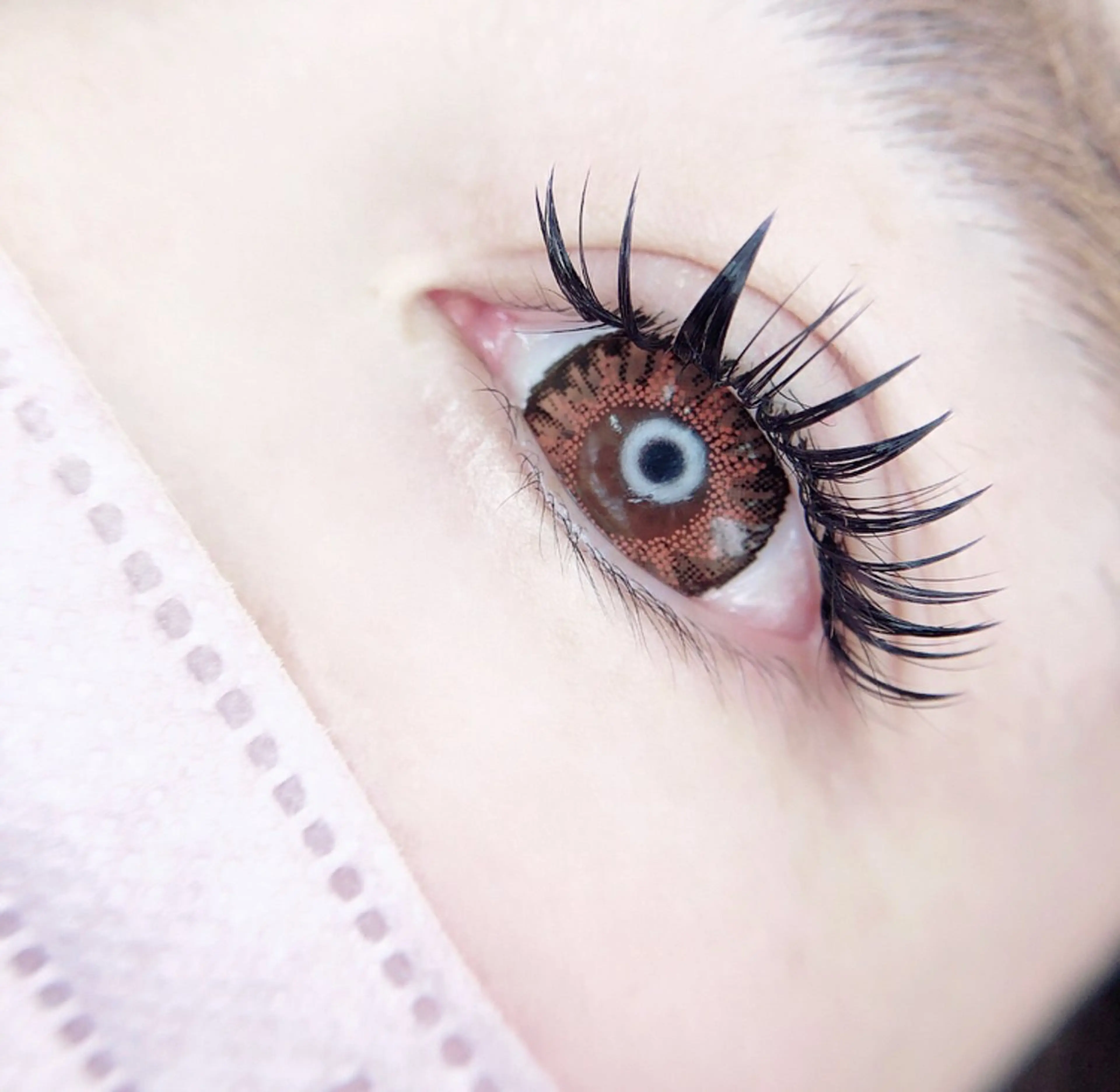 【仕上がり写真撮影OKな方限定】5Dラッシュ100束(片目50束) ⭐️トリートメント束感仕上げ⭐️の写真