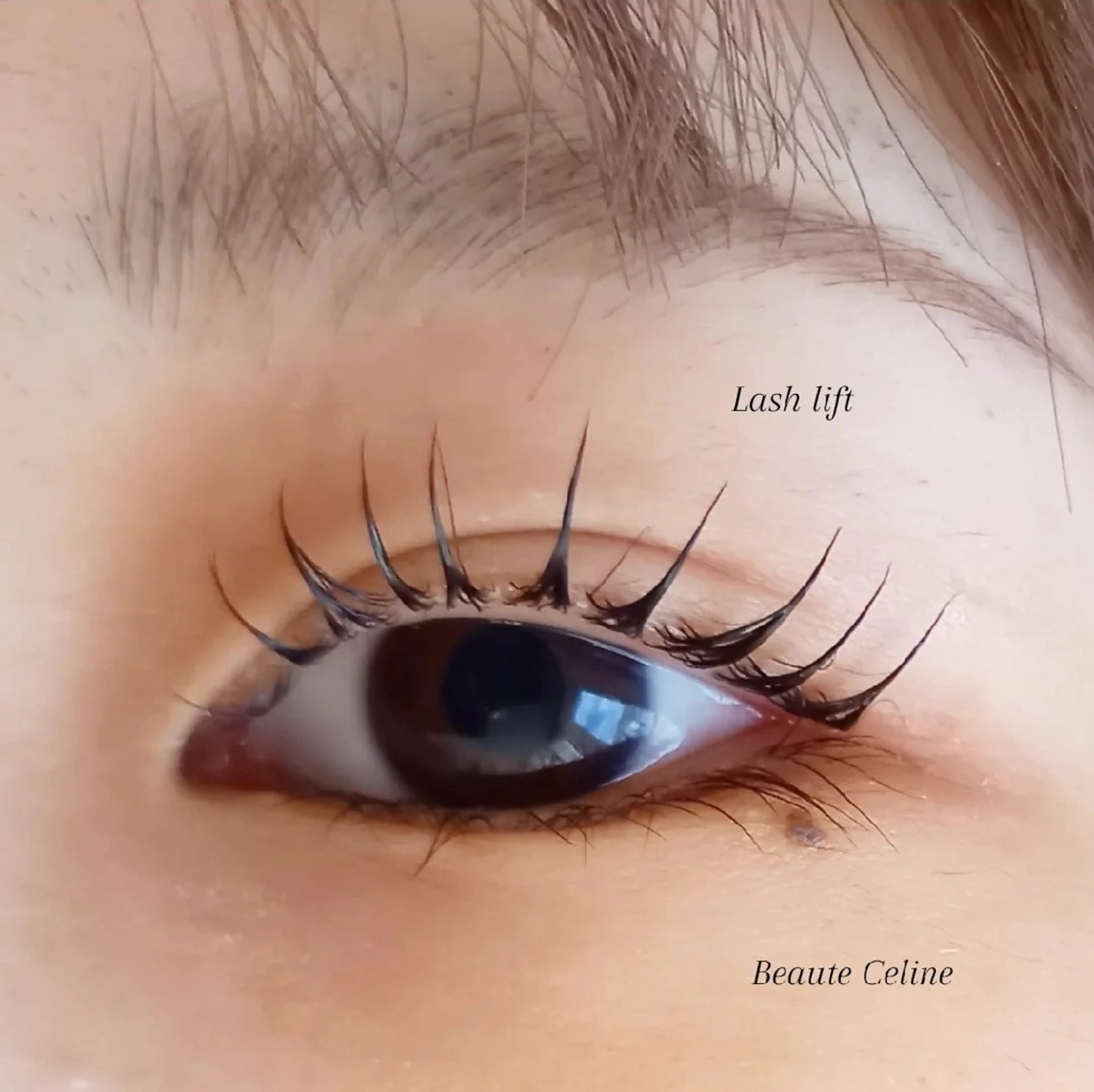 マツエク・マツパ マツパ beaute.celine所属・ぱっちりパーマ🤎 ﾎﾞｰﾃCelineのマツエク・マツパデザイン