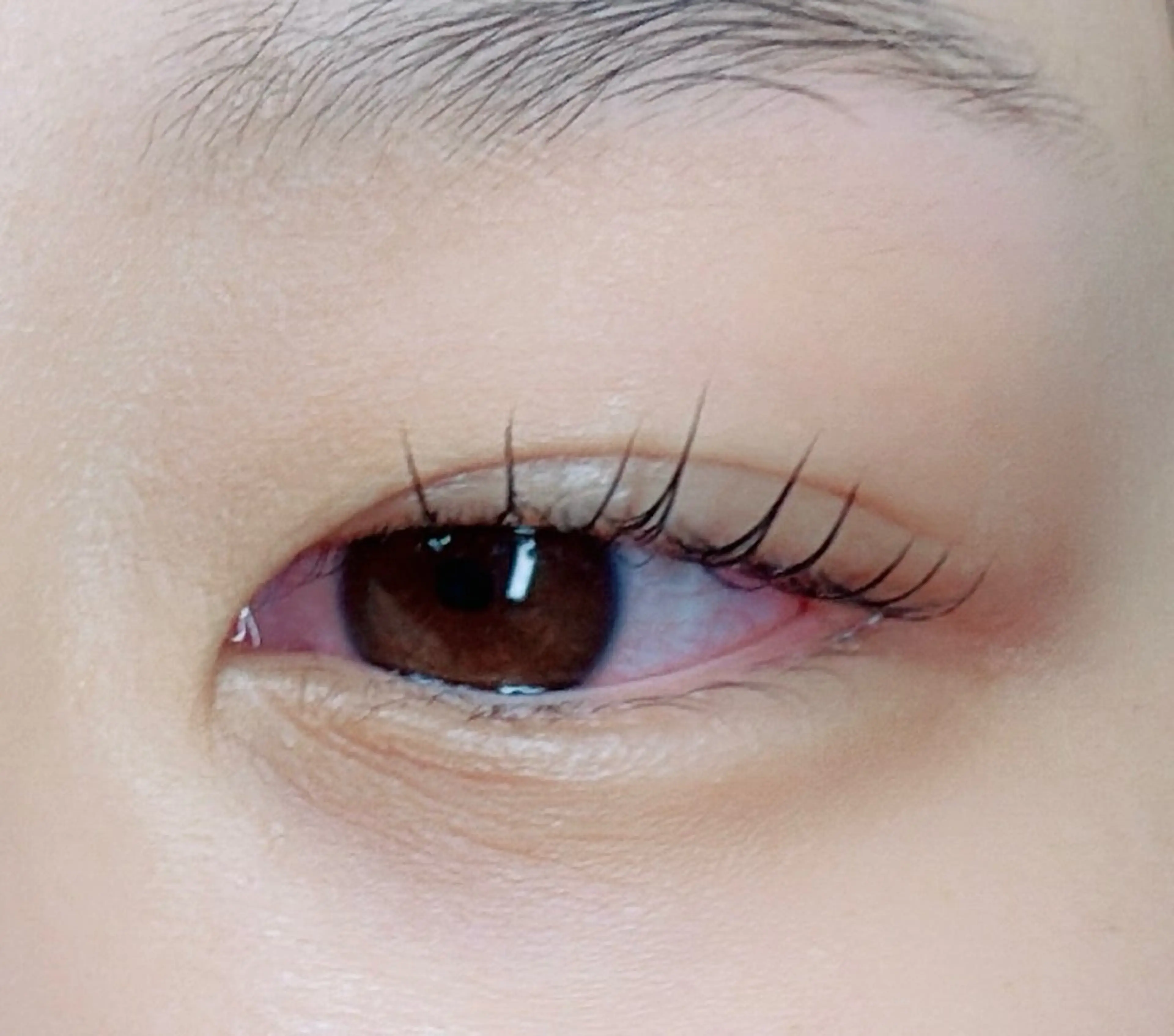 カク エイジュンのマツエク・マツパデザイン