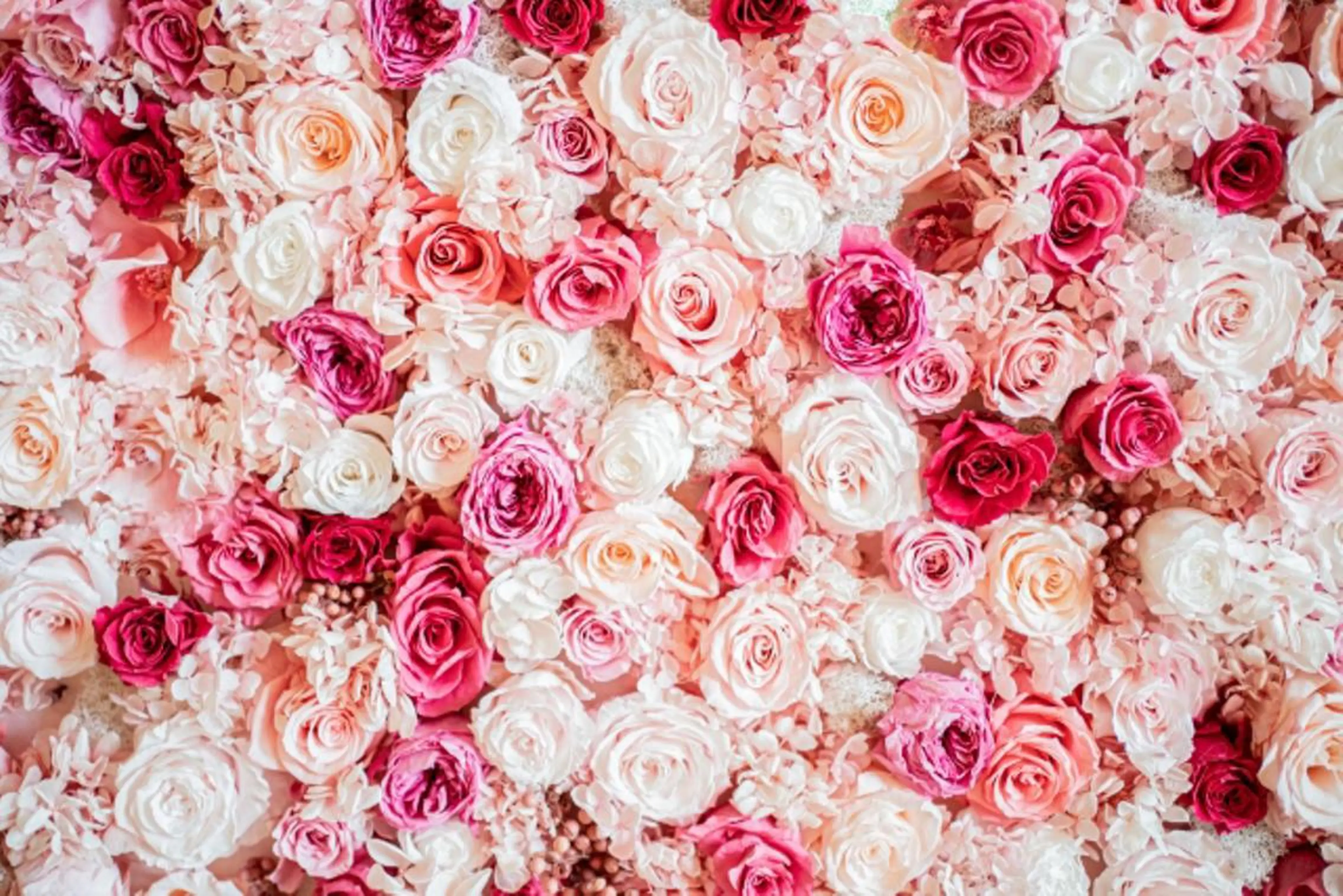 エステ リラク beautysalon  DiAViM所属・本格コルギ美肌美眉 DiAViM 💎のエステ・リラクイメージ