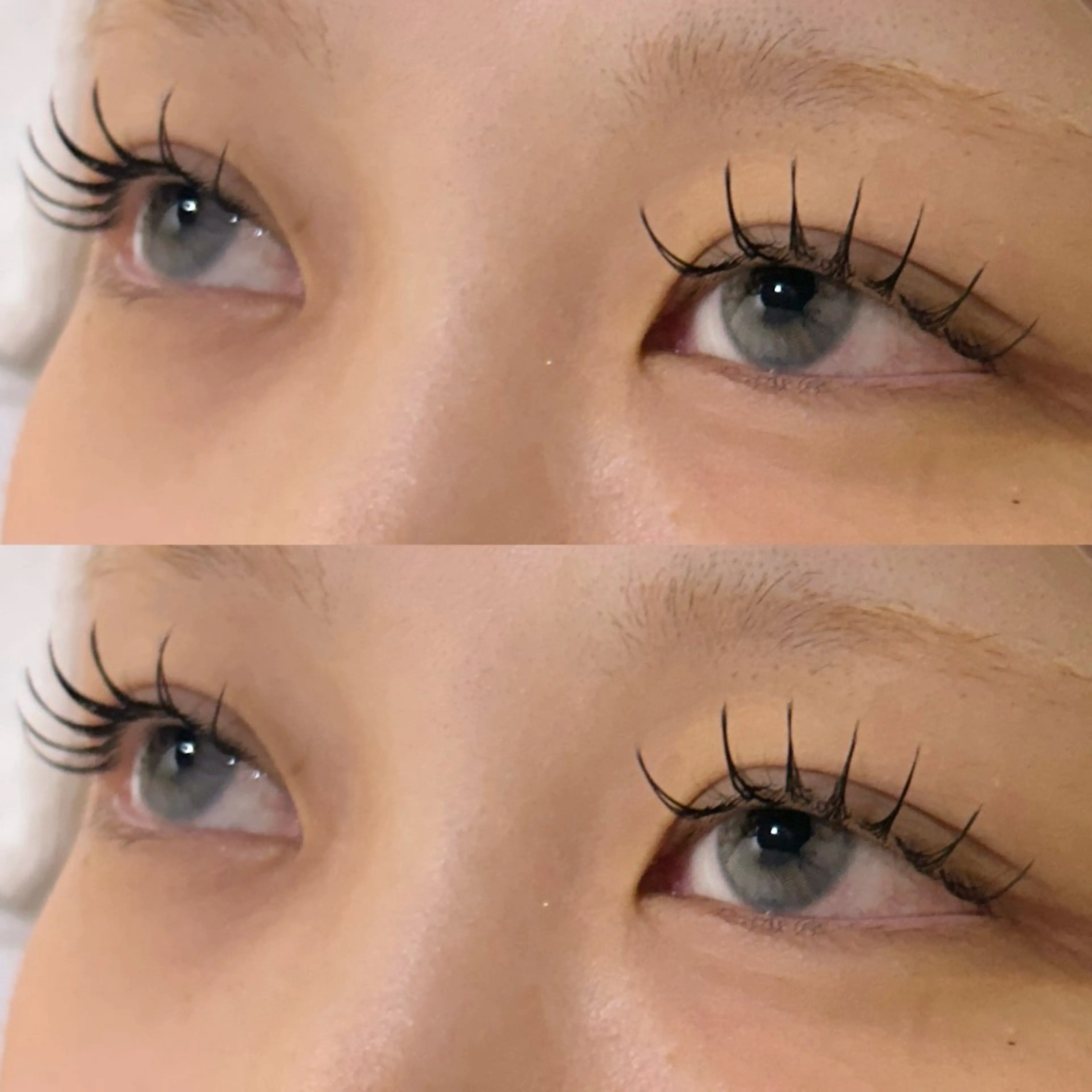 マツエク・マツパ マツエク 冬っぽカラー/ マツエク/ゆきなのマツエク・マツパデザイン