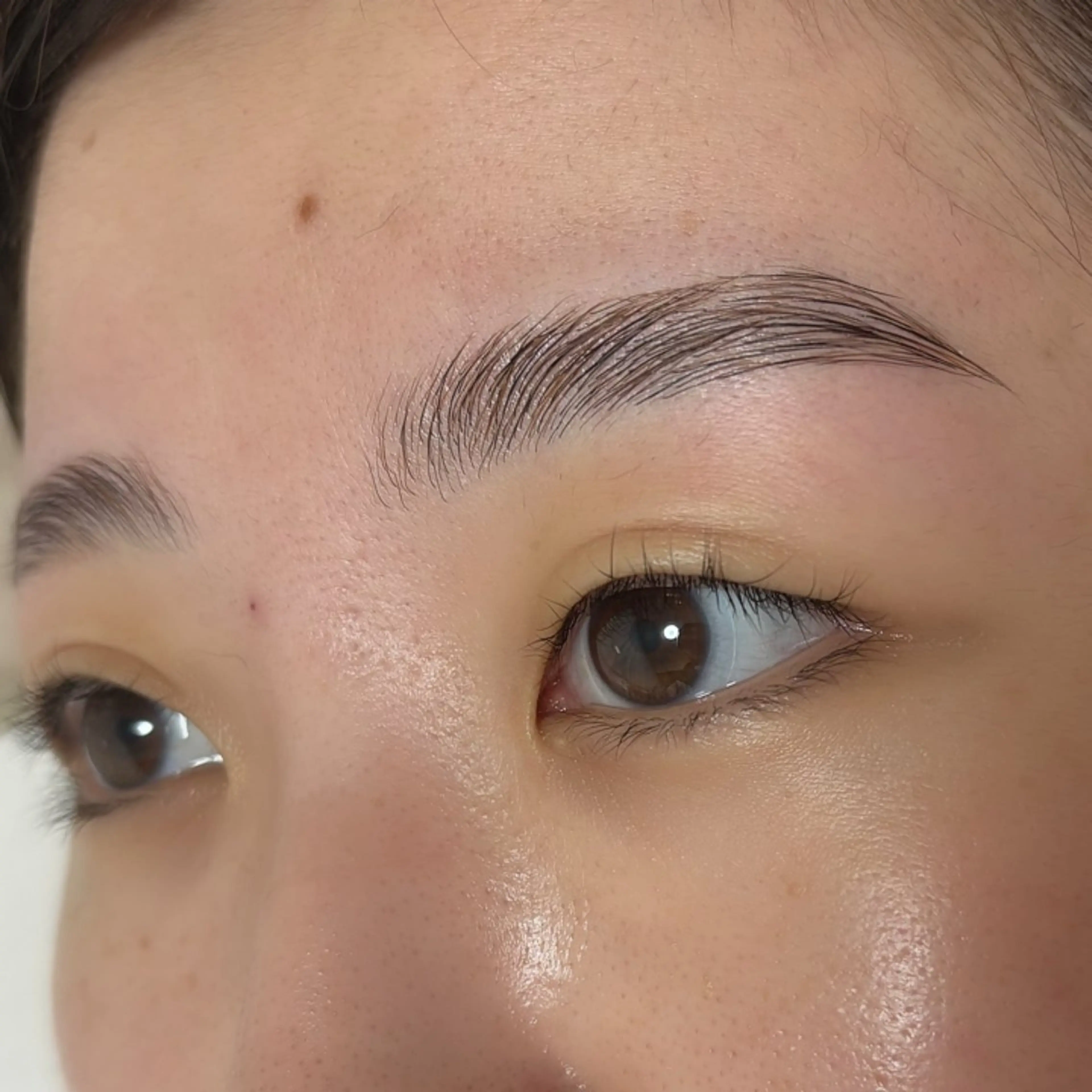 《ご新規様限定》ハリウッドブロウリフト(毛流れ補正×似合わせデザイン)の写真