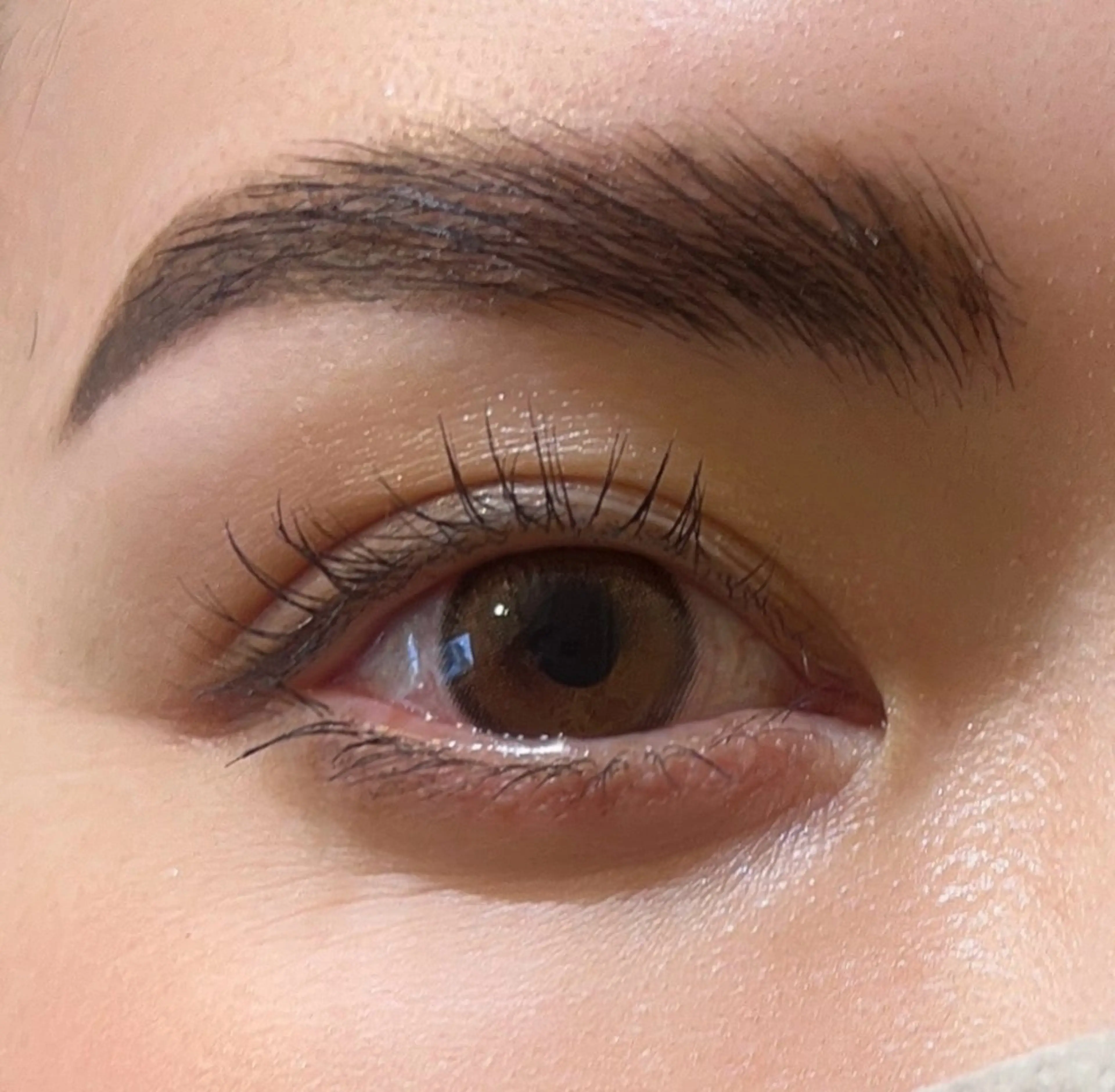 マツエク・マツパ ボリュームラッシュ ワックス脱毛 その他(アイブロウ) 海外風まつげ眉毛 恵比寿｜masayoのマツエク・マツパデザイン