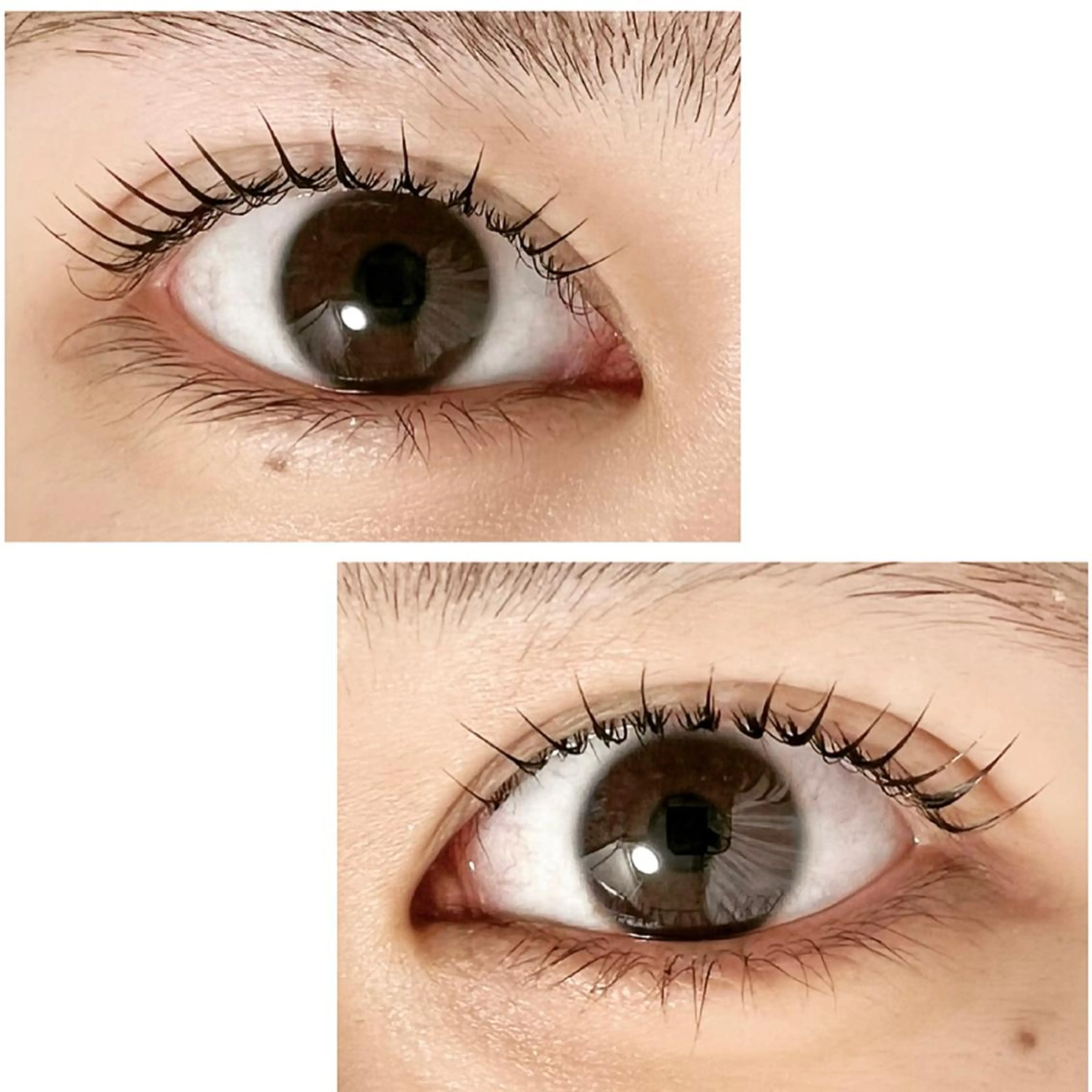 マツエク・マツパ Adorer(アドレ)所属・Adorer 🍀アドレ🍀のマツエク・マツパデザイン