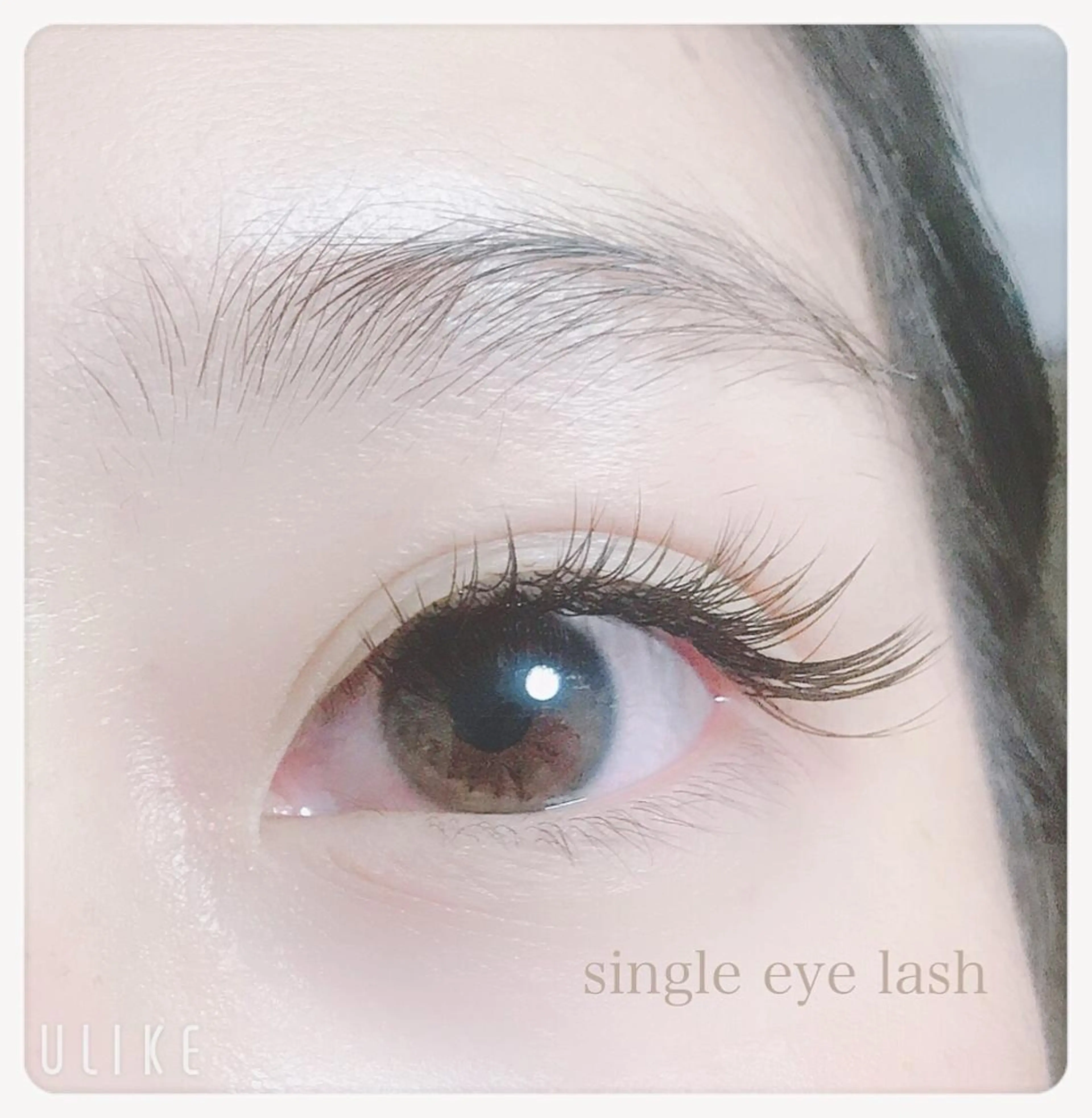 【御新規様限定】シングルエクステ100本の写真