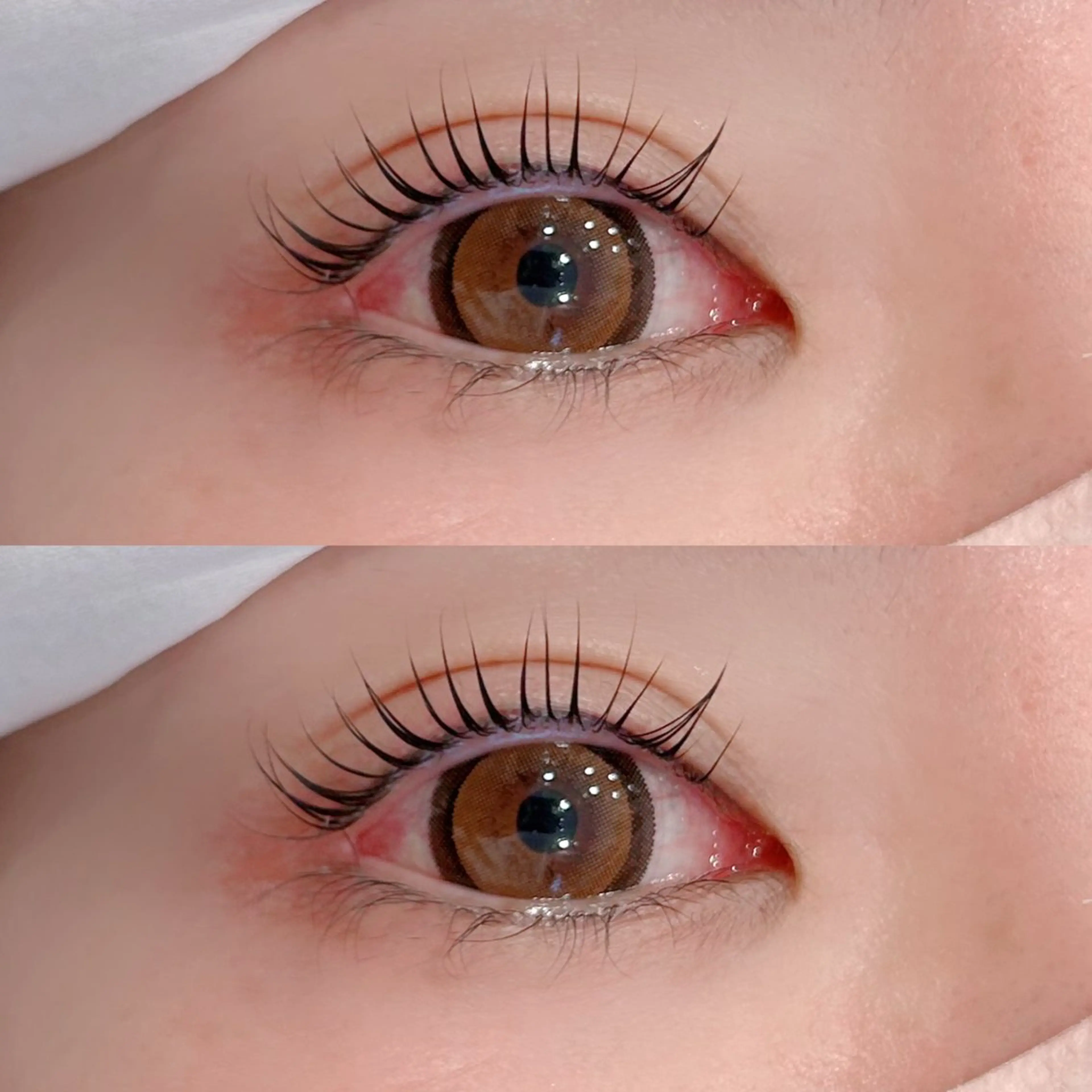 マツエク・マツパ Daisy Lash /天王寺✨樫井美波のマツエク・マツパデザイン