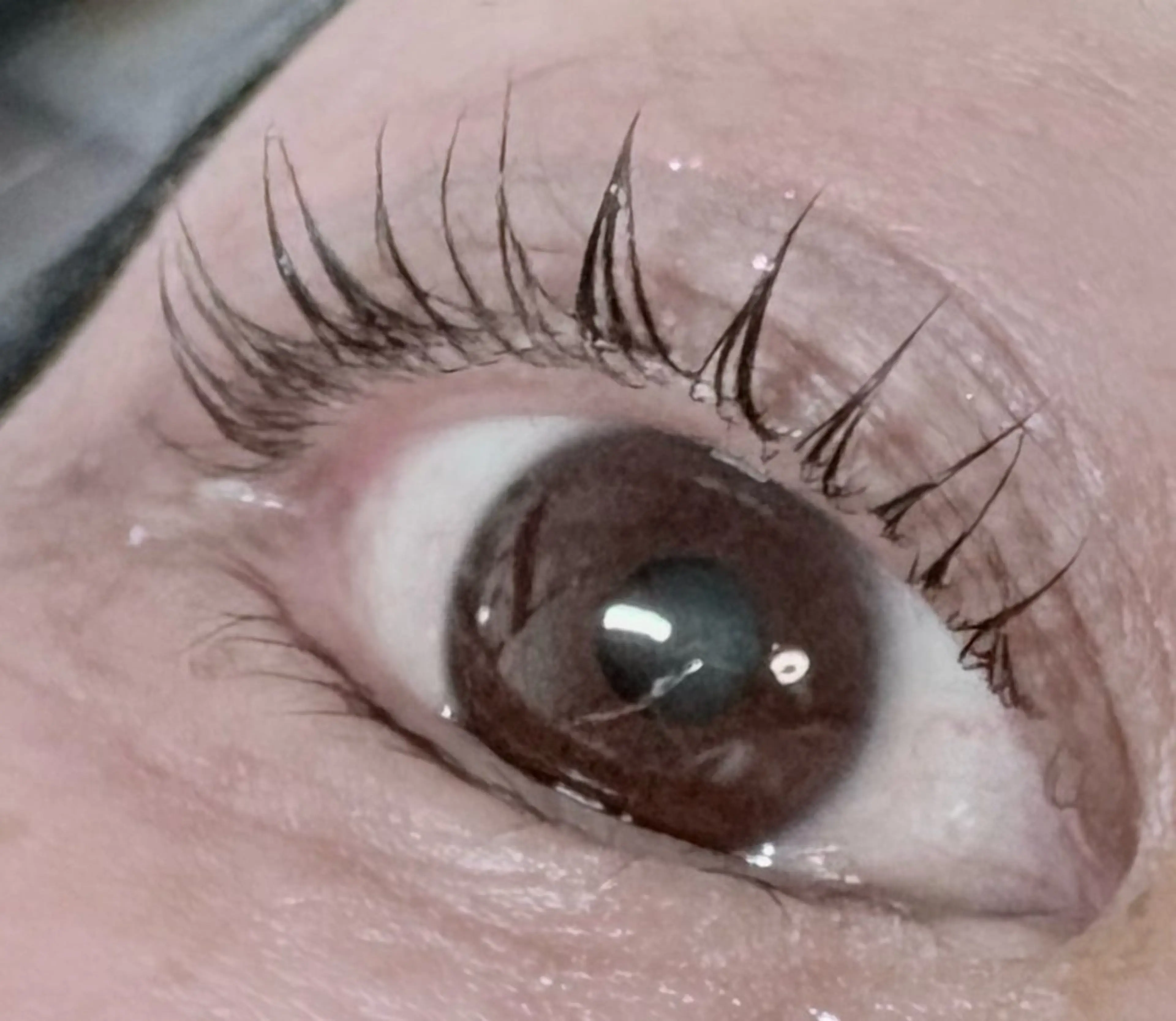 マツエク・マツパ トータルビューティー サロン・Ｎの眉毛・アイブロウイメージ