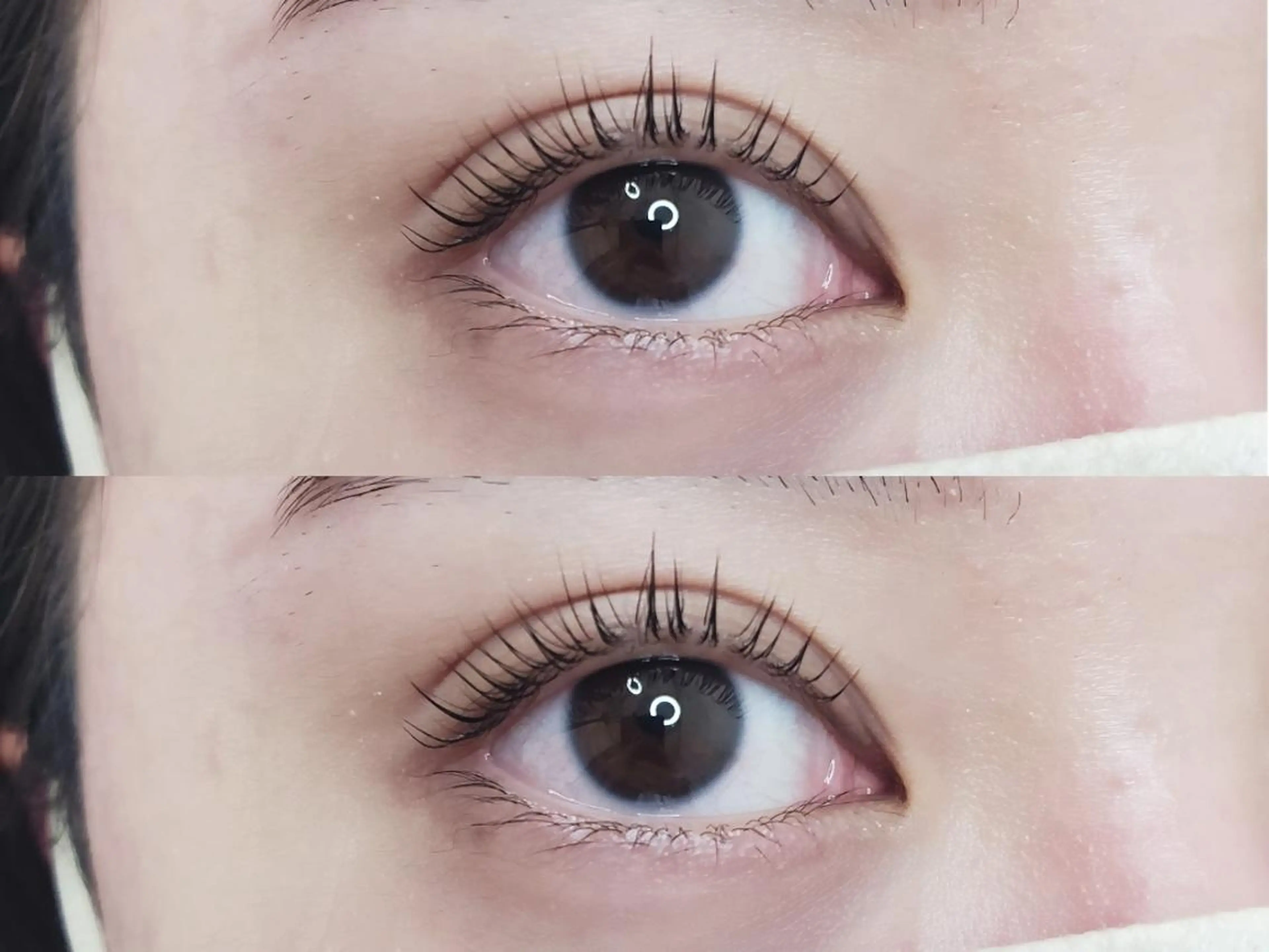 マツエク・マツパ まつげパーマ 絶対可愛い保証 韓国🇰🇷ワンホンのマツエク・マツパデザイン