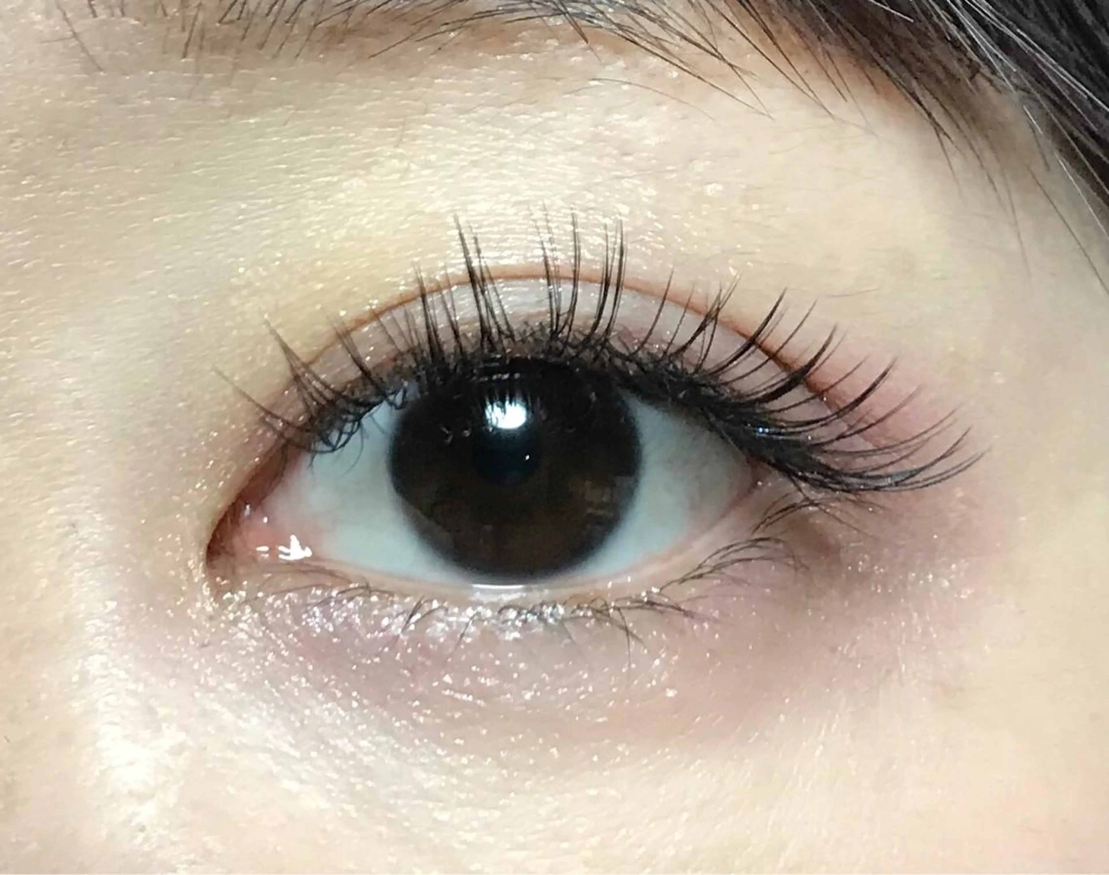 【ご新規様】セーブルエクステ 100本の写真