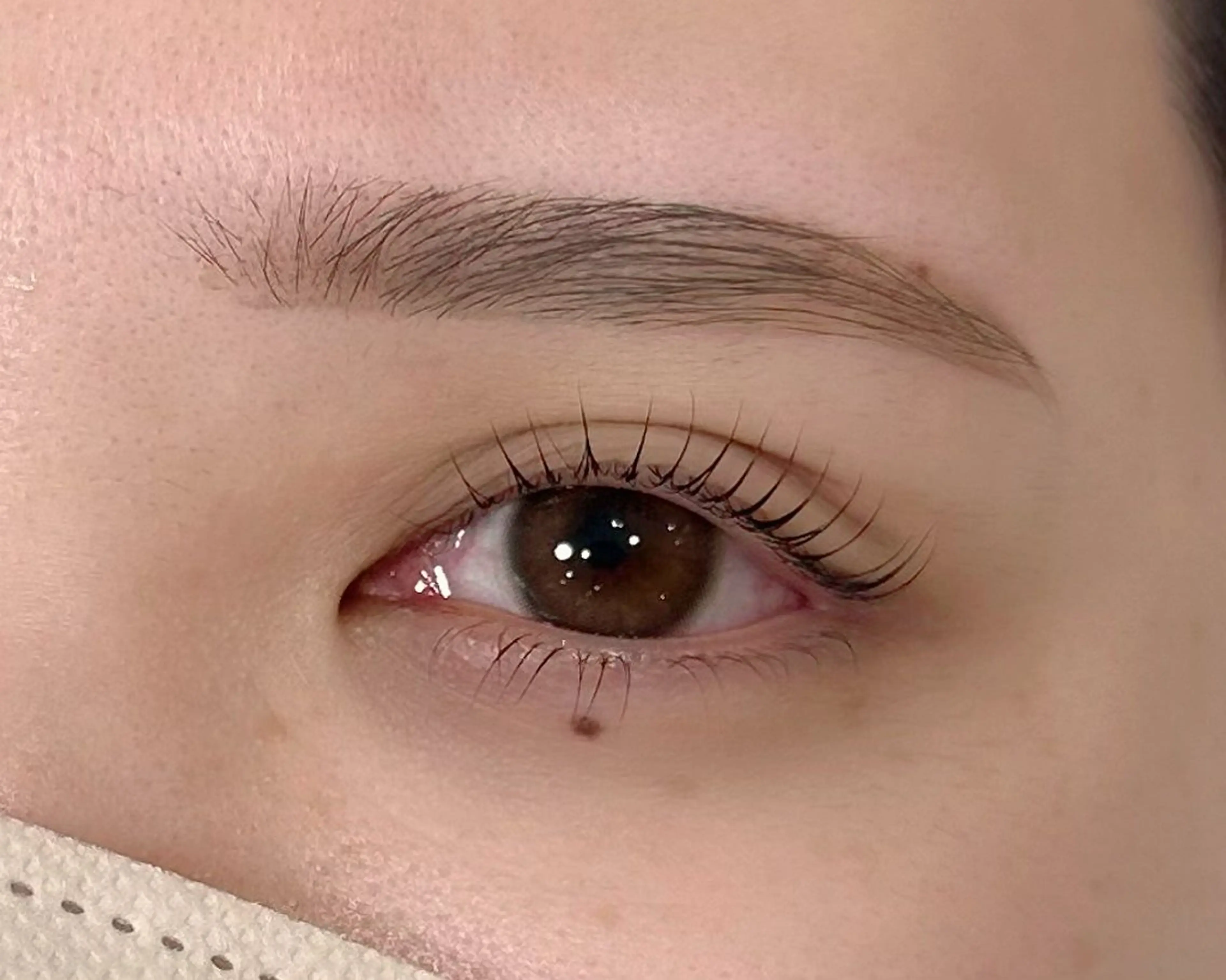 🫧ラッシュリフト+アイブロウスタイリング🫧 《再来の方+¥500》の写真