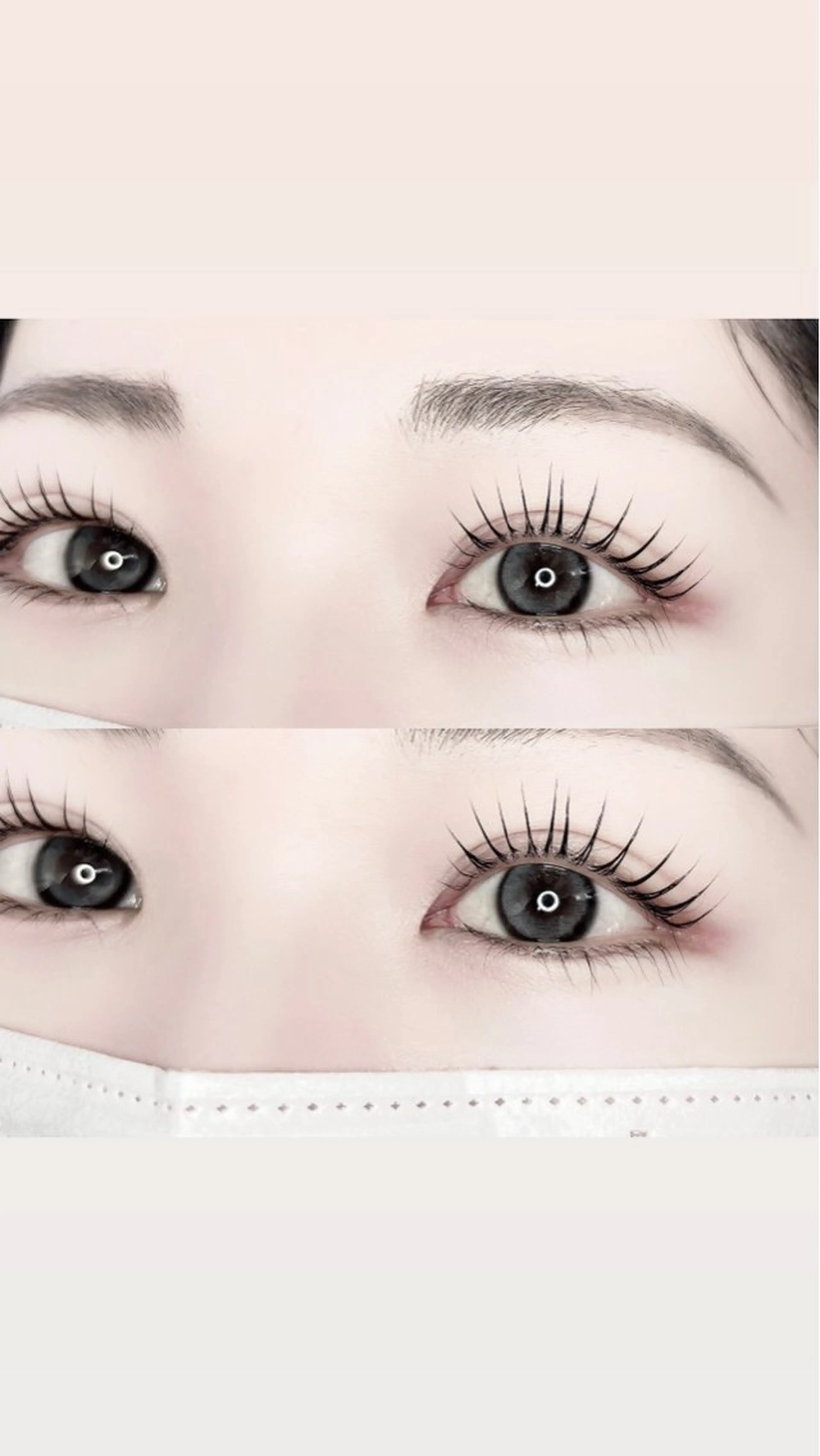 新規🩷まつ毛パーマ上🩷選べるシルエットの写真