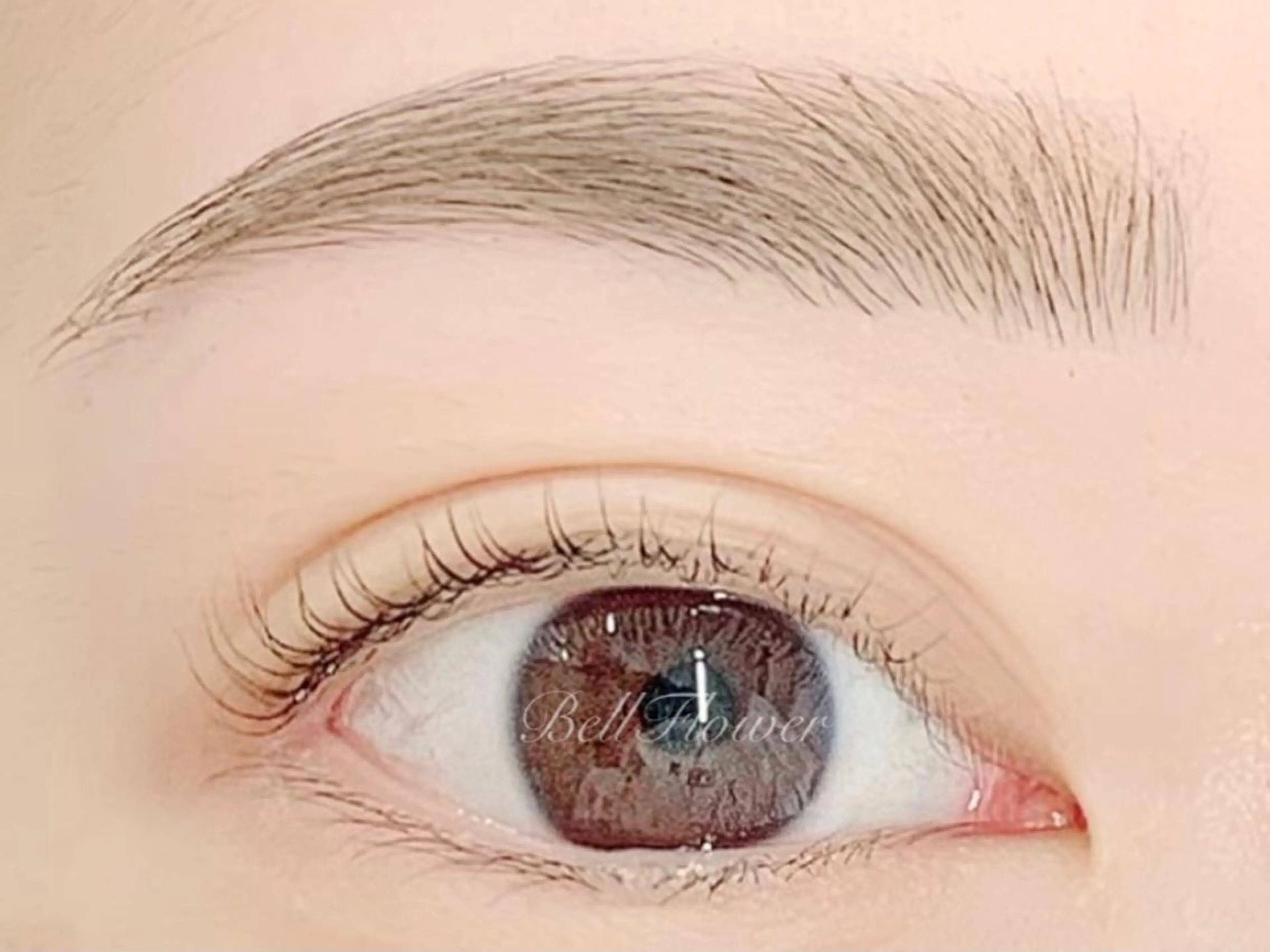 マツエク・マツパ アイブロウ 眉毛ワックス脱毛 パリジェンヌラッシュリフト まつげパーマ BellFlower Aki(眉・まつげ)のマツエク・マツパデザイン