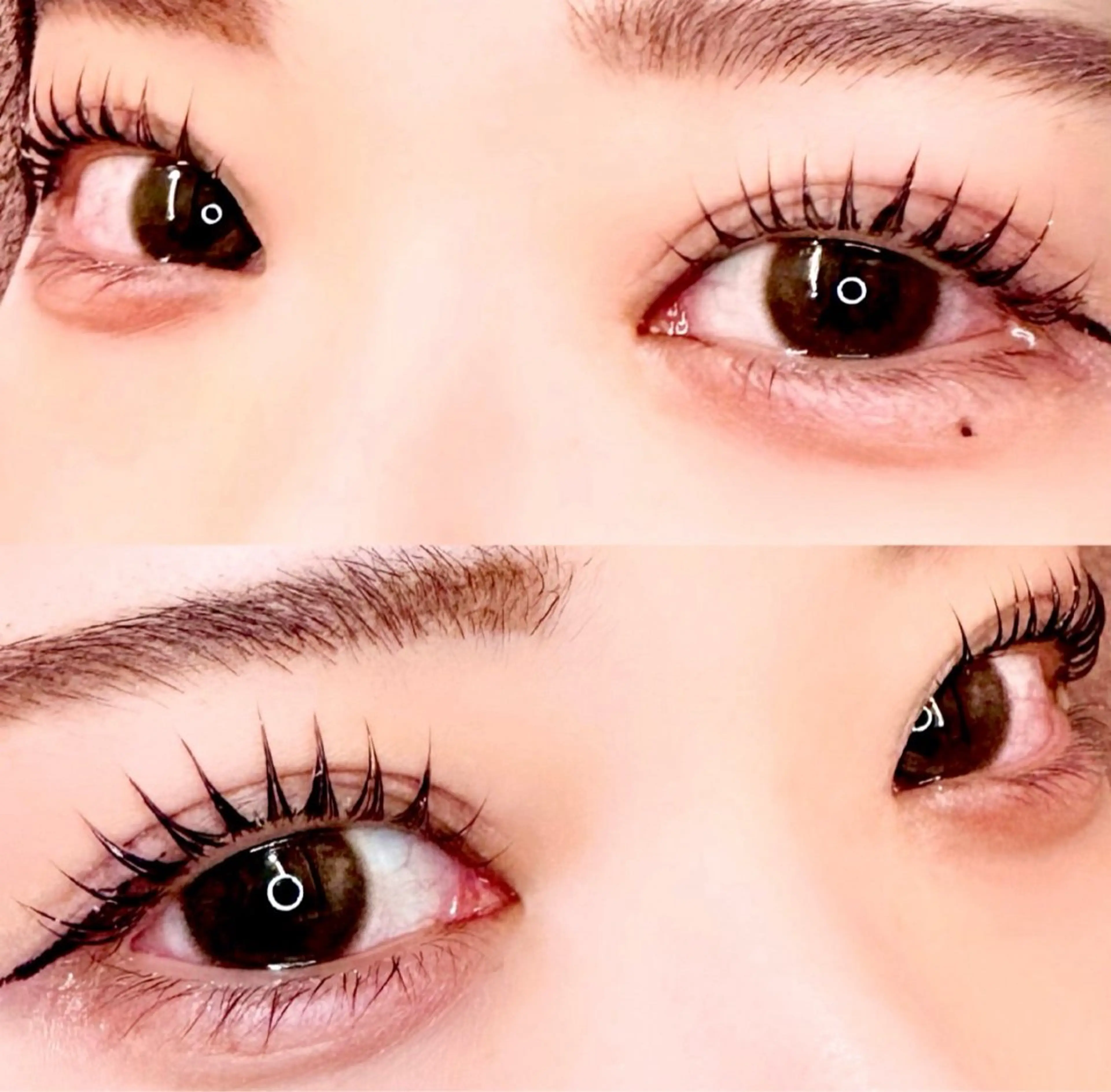 マツエク・マツパ マツパ 🦖fein. YUINA🦕⋆͛のマツエク・マツパデザイン