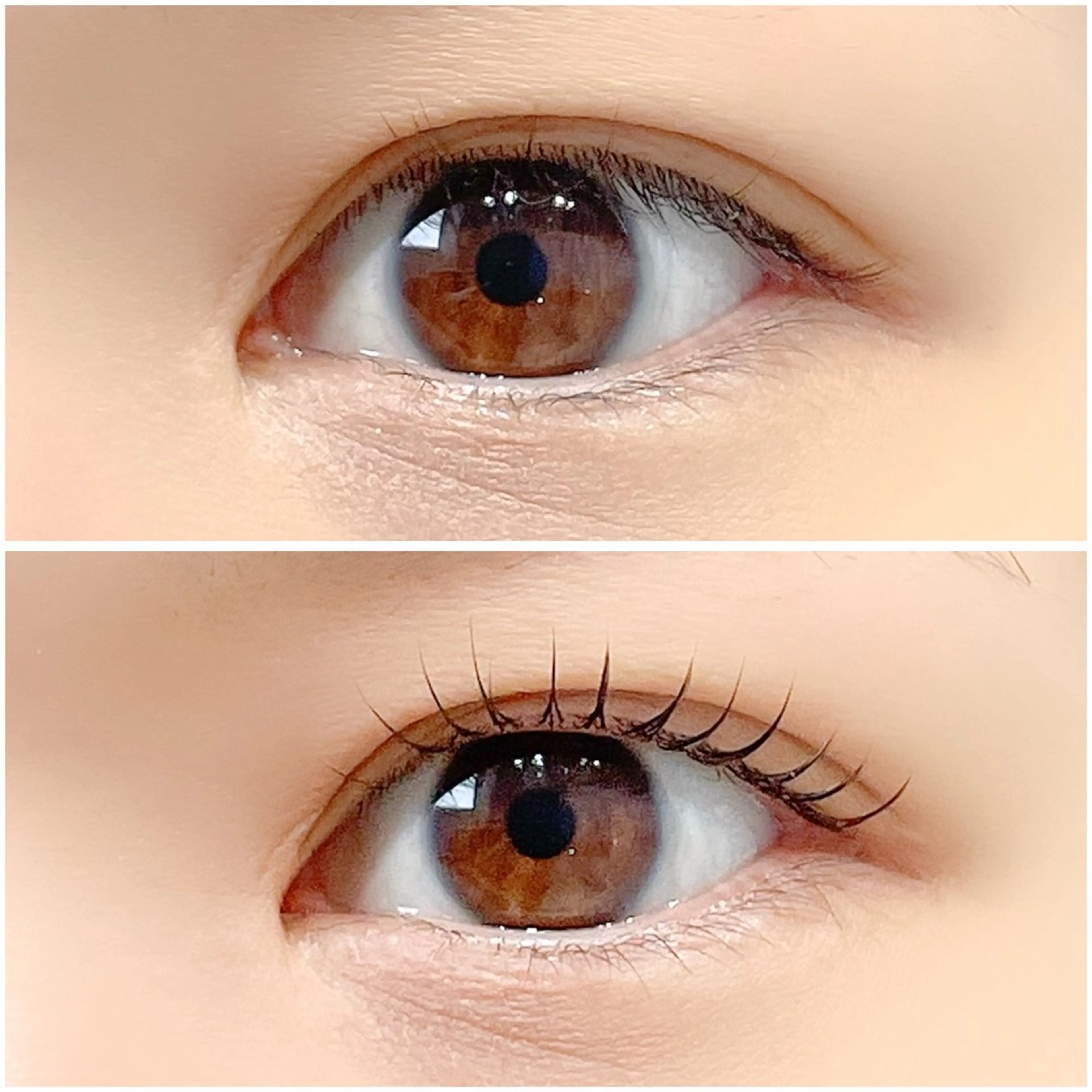 マツエク・マツパ 束感まつ毛 一重×まつ毛パーマ マツパ 🤍Anna仙台店 田代 美咲🤍のマツエク・マツパデザイン