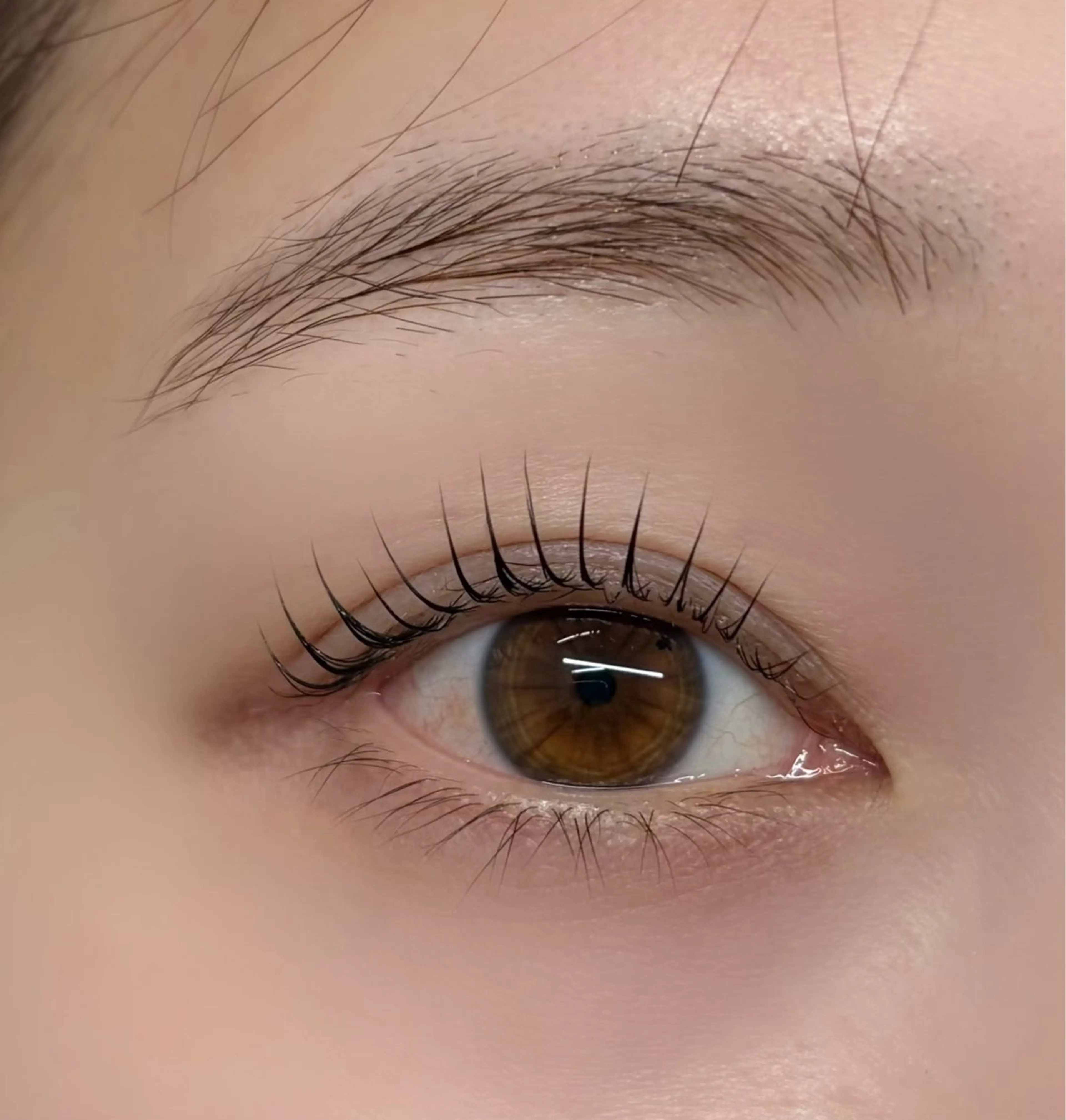 【ぱっちりモテeye】高持続フラットラッシュ120本の写真