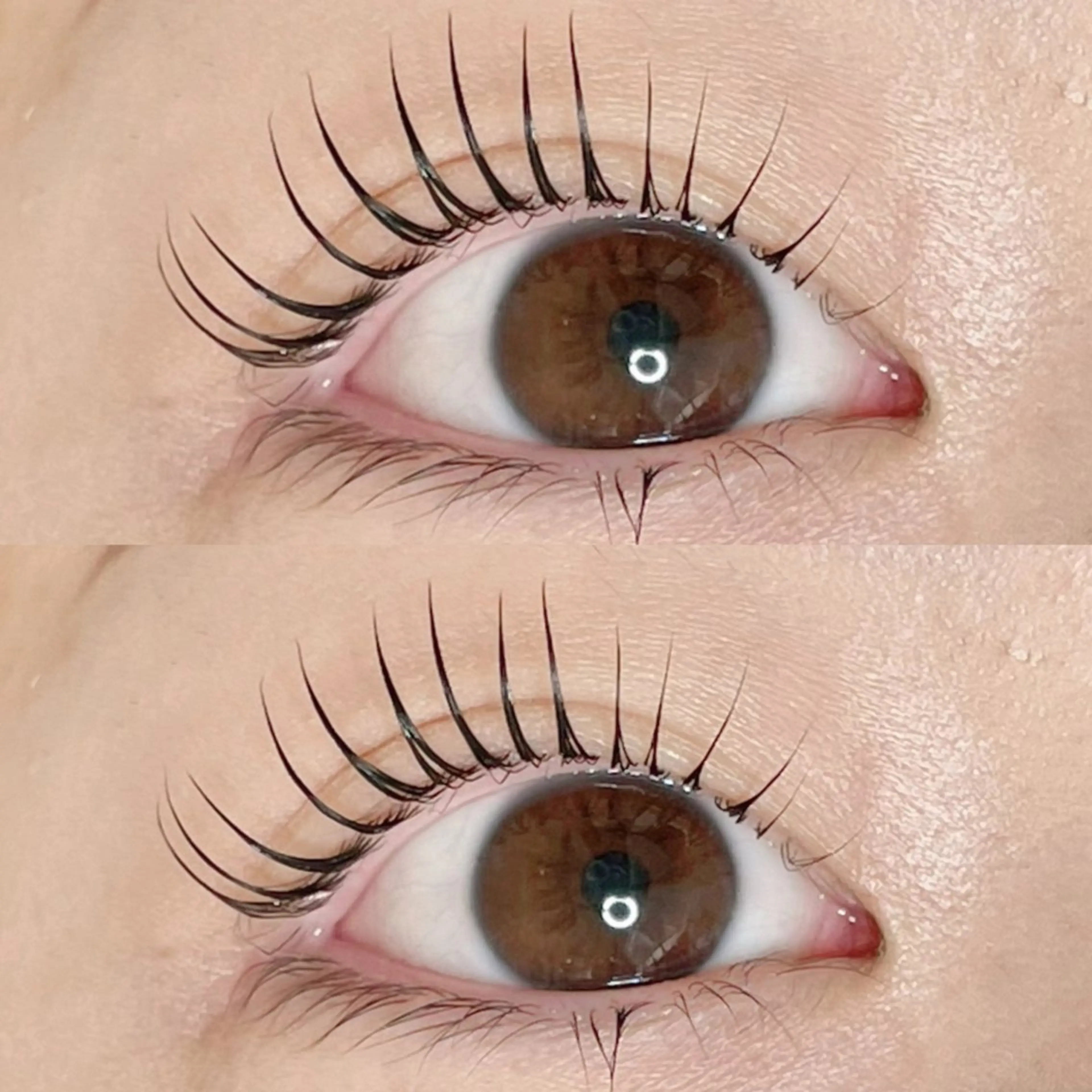 マツエク・マツパ マツパ AYLASH🧡 猪又のマツエク・マツパデザイン