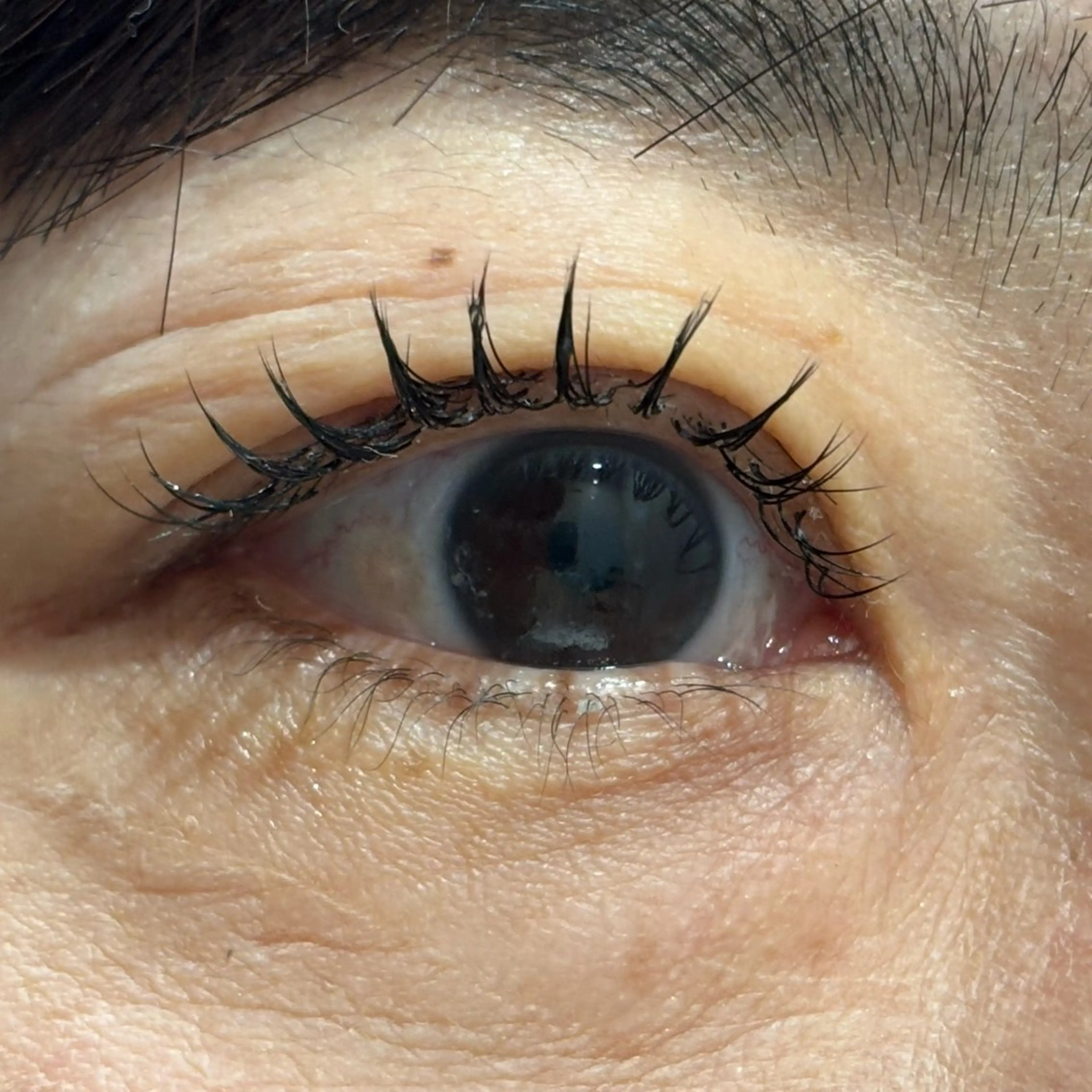 マツエク・マツパ マツエク メンズパーマ/ メッシュ📍ﾕﾘのヘアスタイル