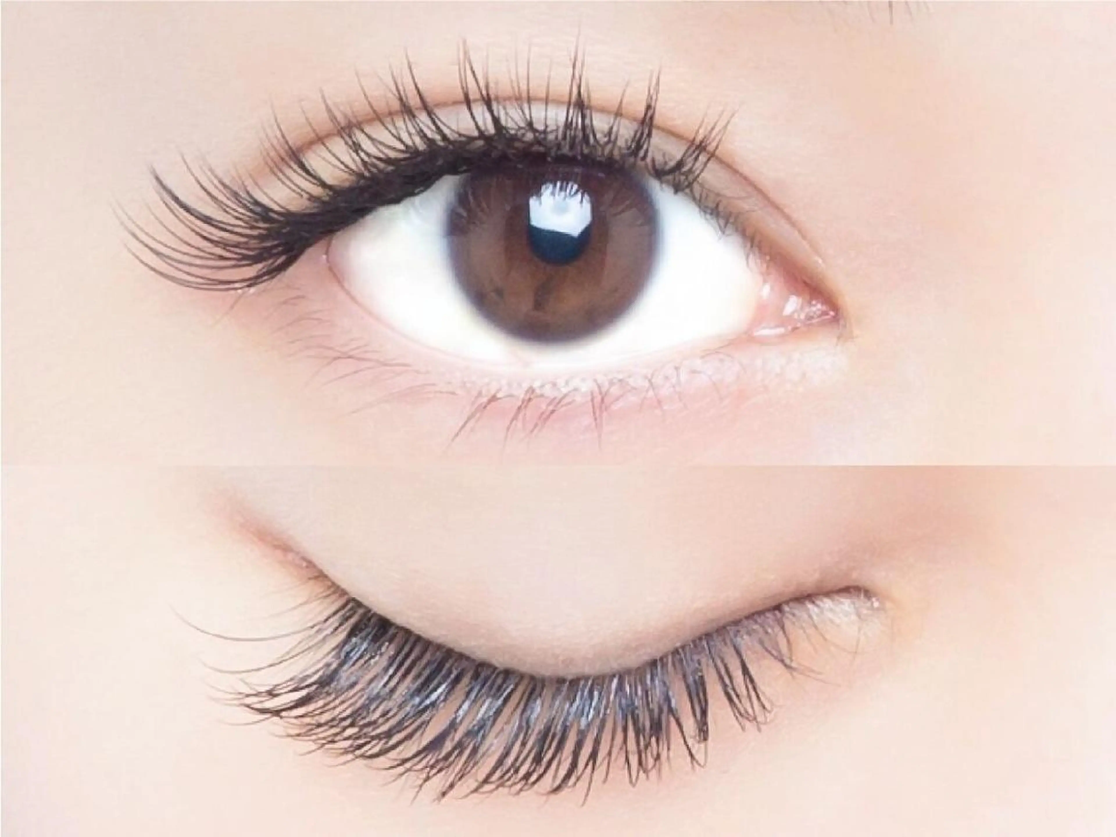 【ご新規様当日限定】フラットラッシュ100本🎀✨の写真