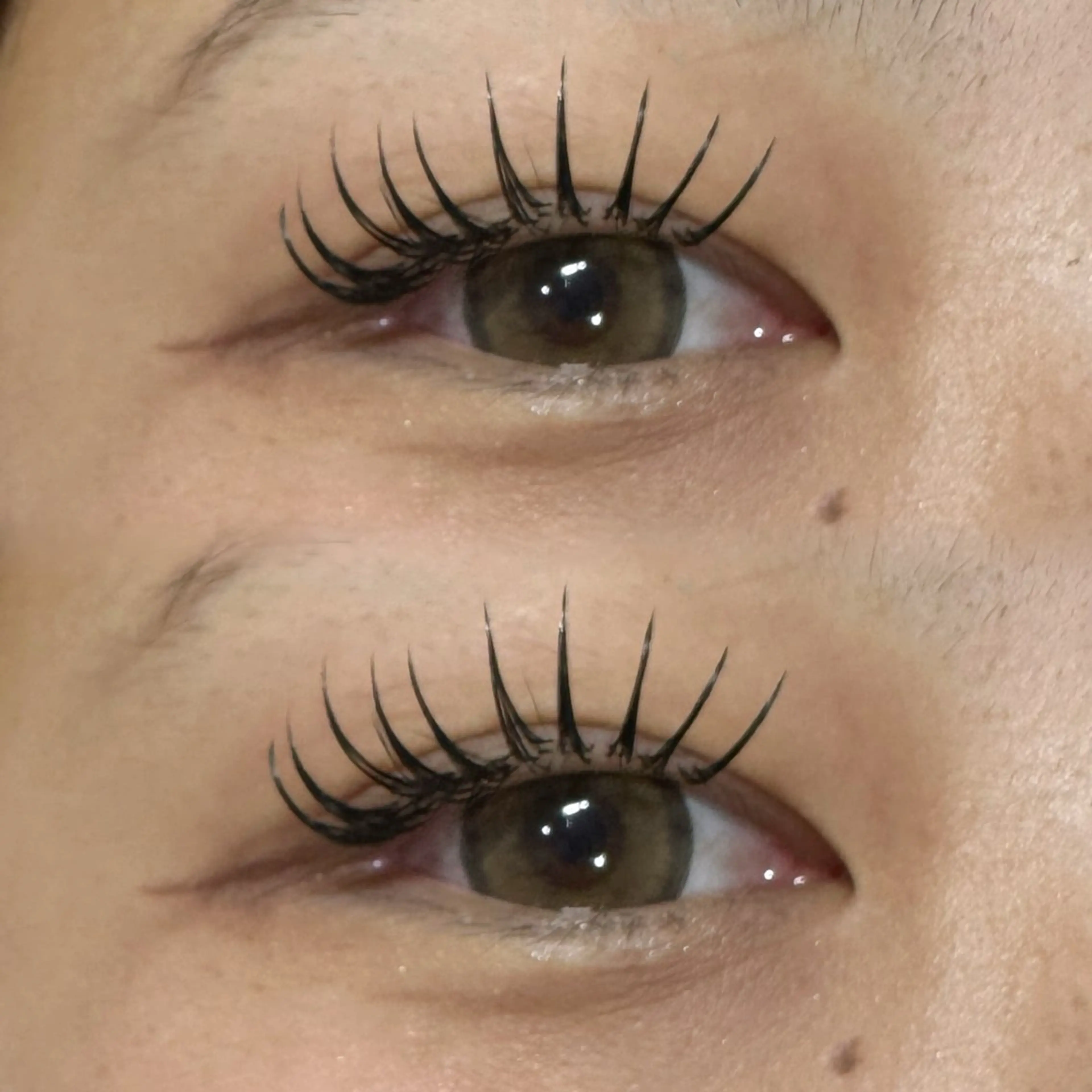 マツエク・マツパ Dカール フラットラッシュ マツエク KIRYU 🌻のマツエク・マツパデザイン