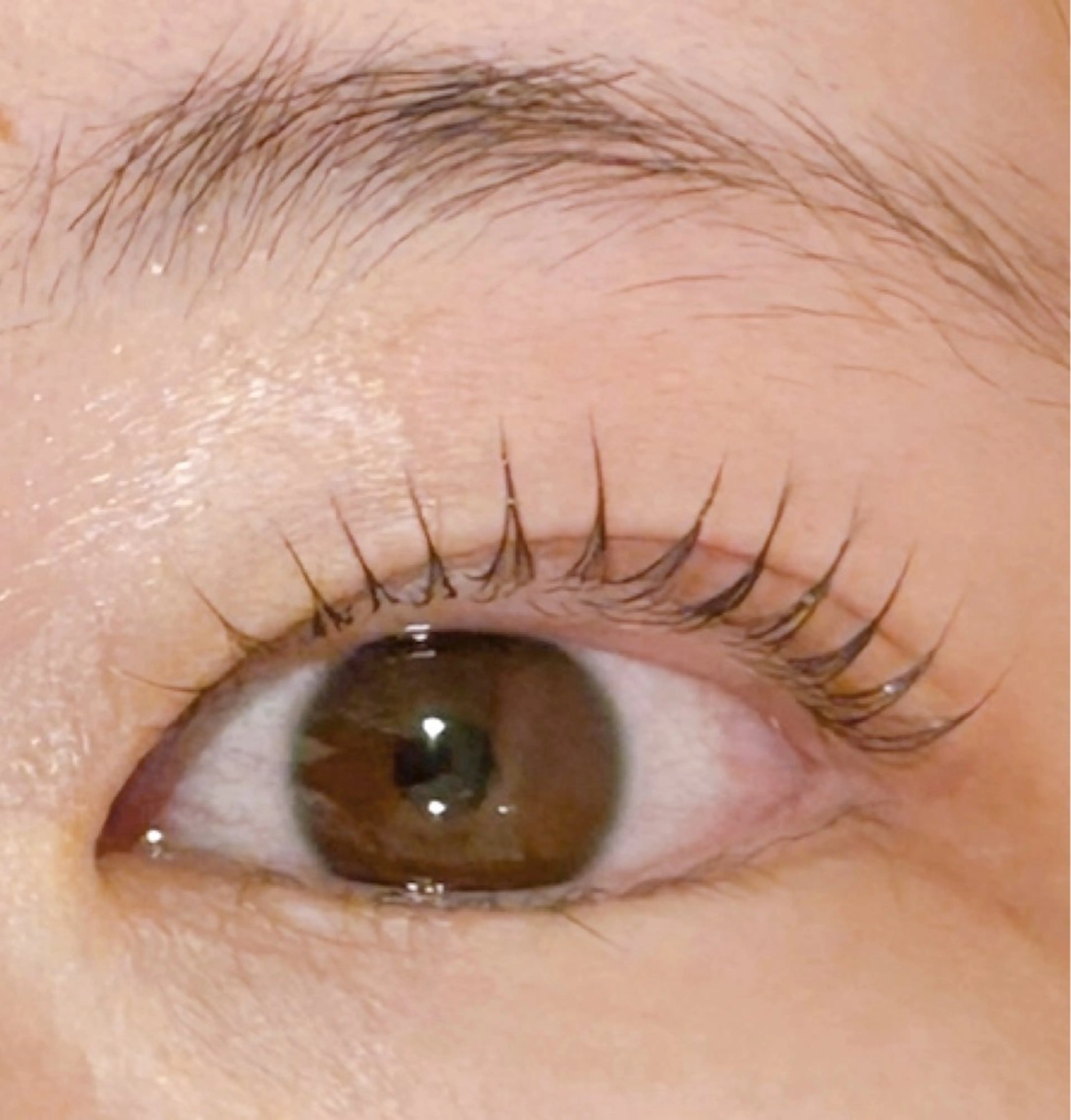 マツエク・マツパ マツパ peTiT京橋店 M A K Iのマツエク・マツパデザイン