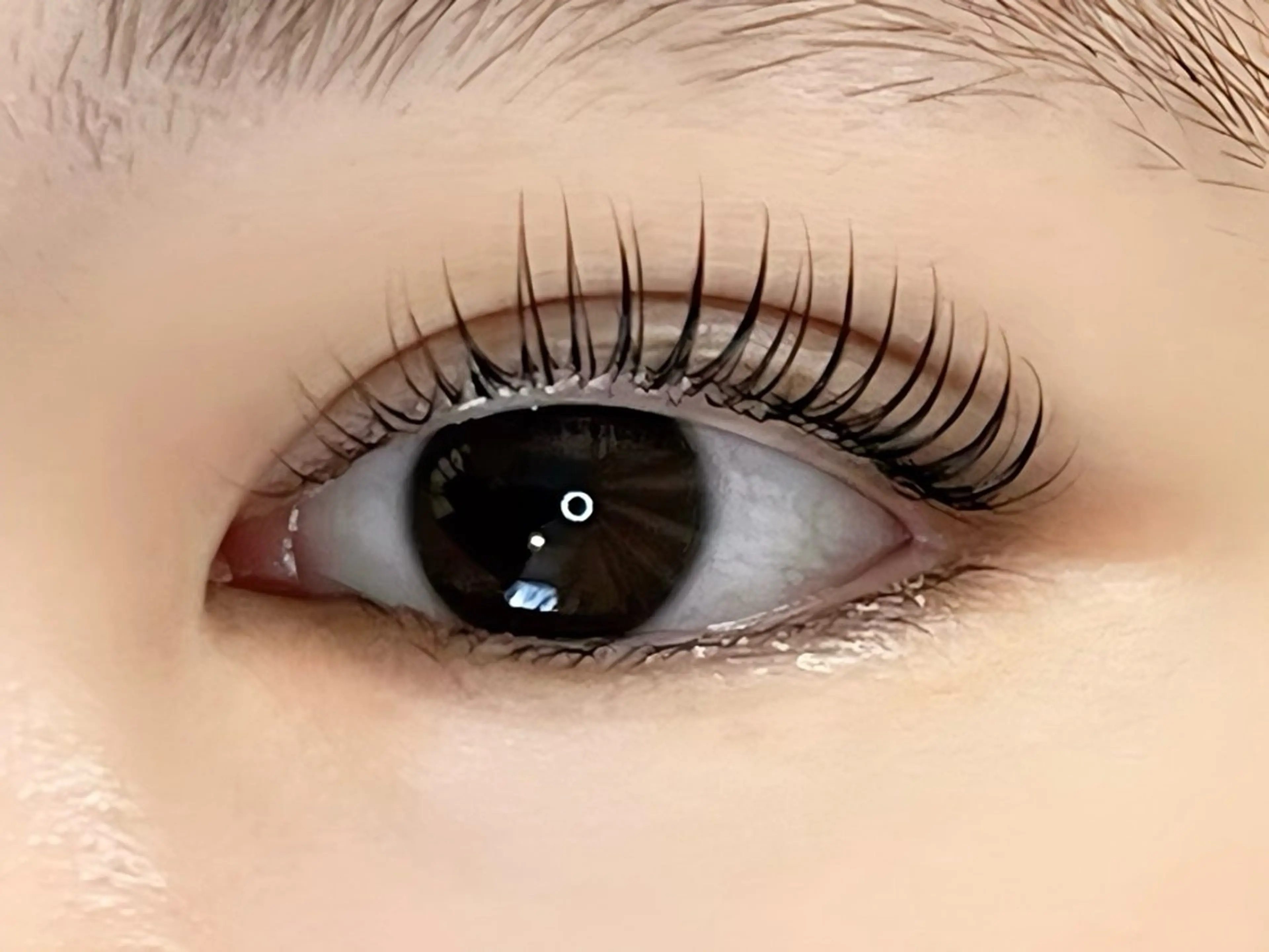 マツエク・マツパ Honey&Miel YUI🐱🐾のマツエク・マツパデザイン