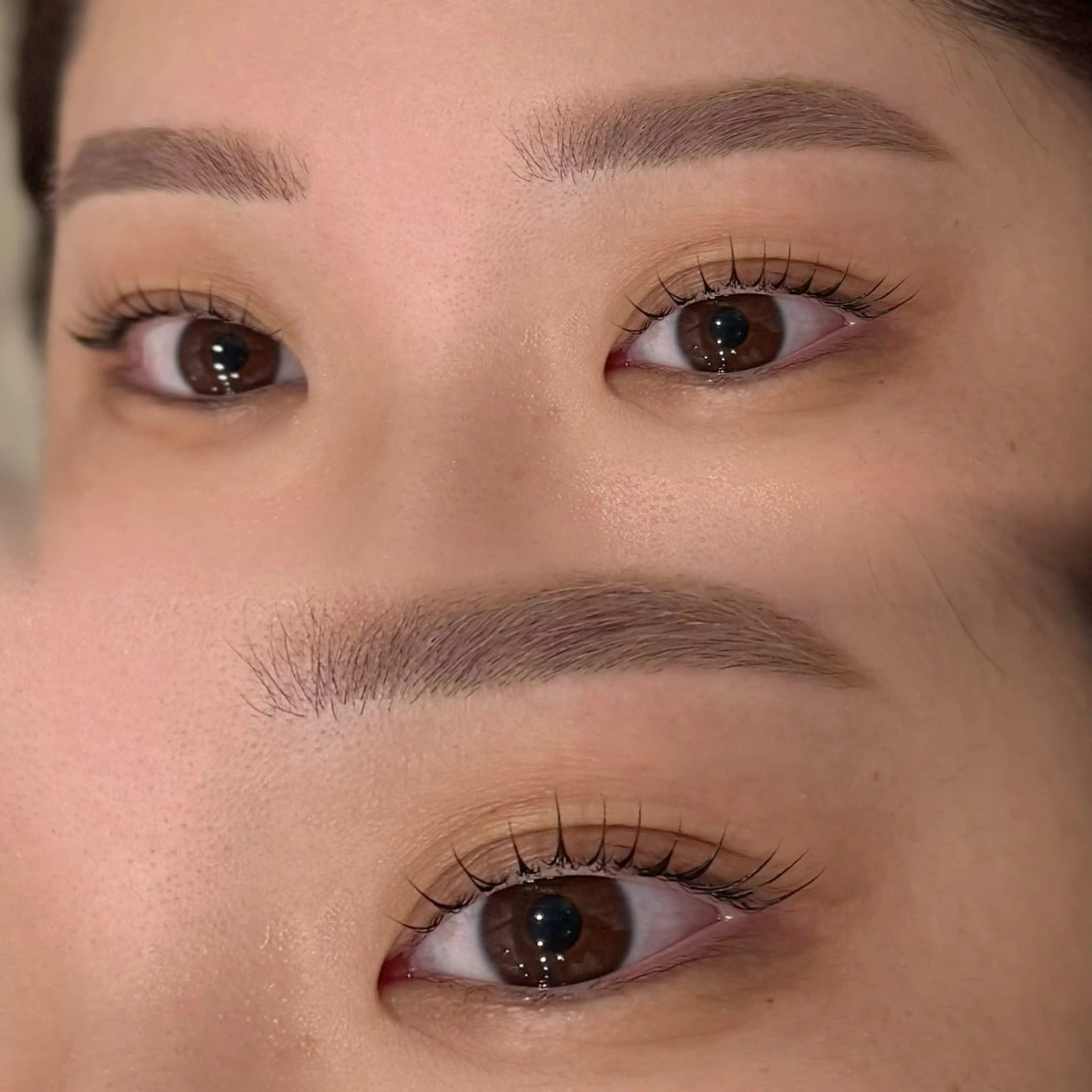 🐼まつ毛パーマ上+アイブロウスタイリングの写真