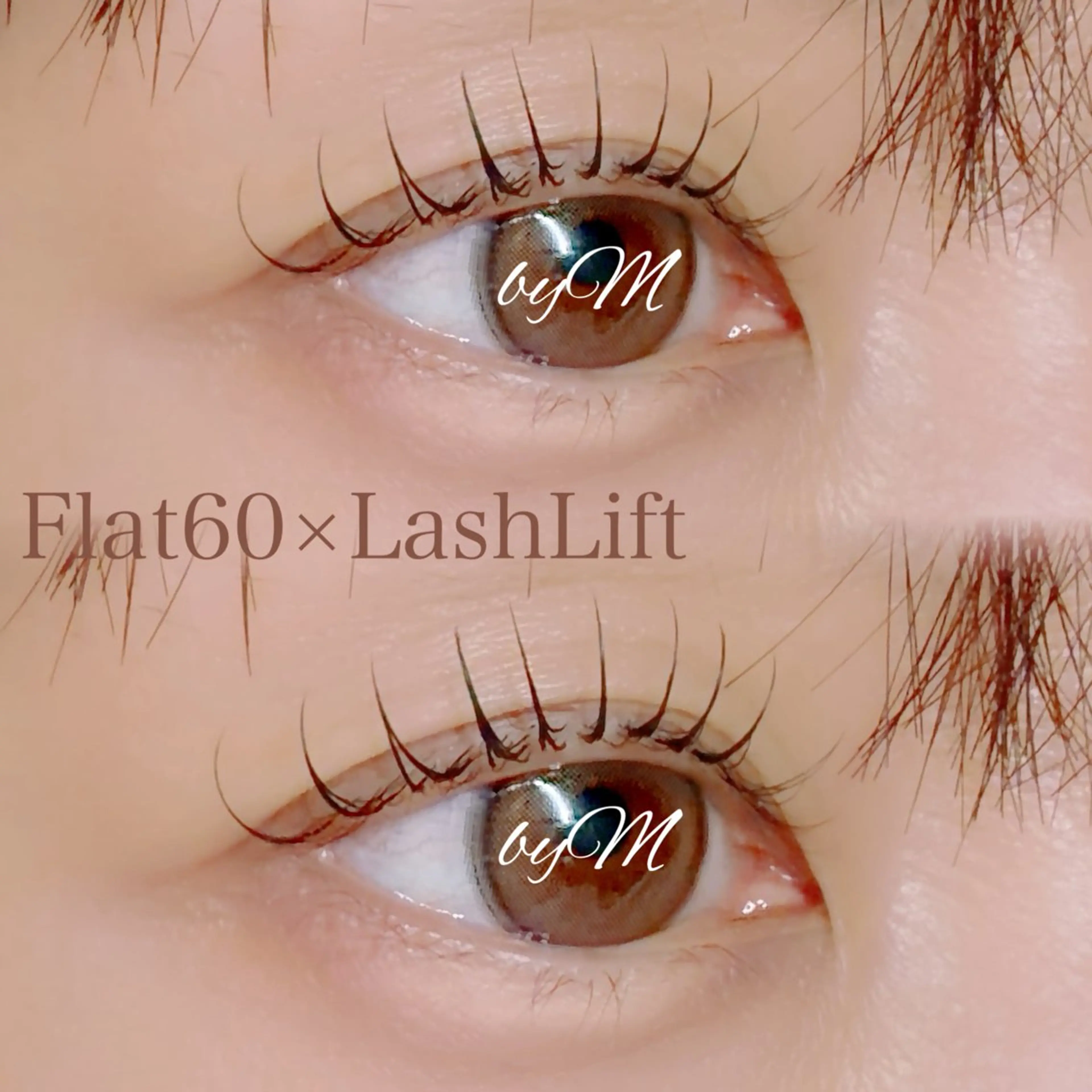 マツエク・マツパ マツエク PLATINUM+ byM🍯のマツエク・マツパデザイン