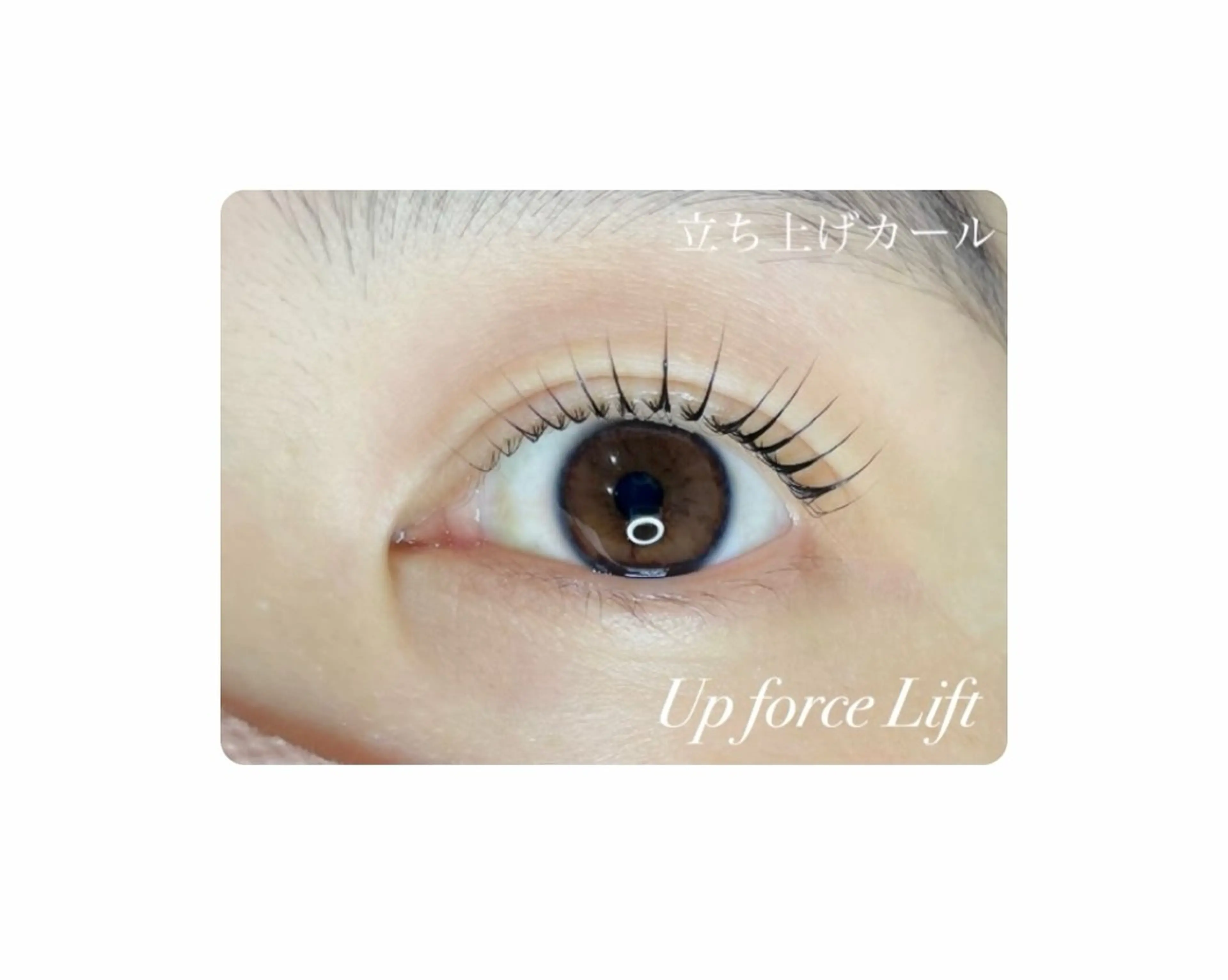 マツエク・マツパ Beauty　salon　Mil所属・🤍下村 絢香🤍のマツエク・マツパデザイン