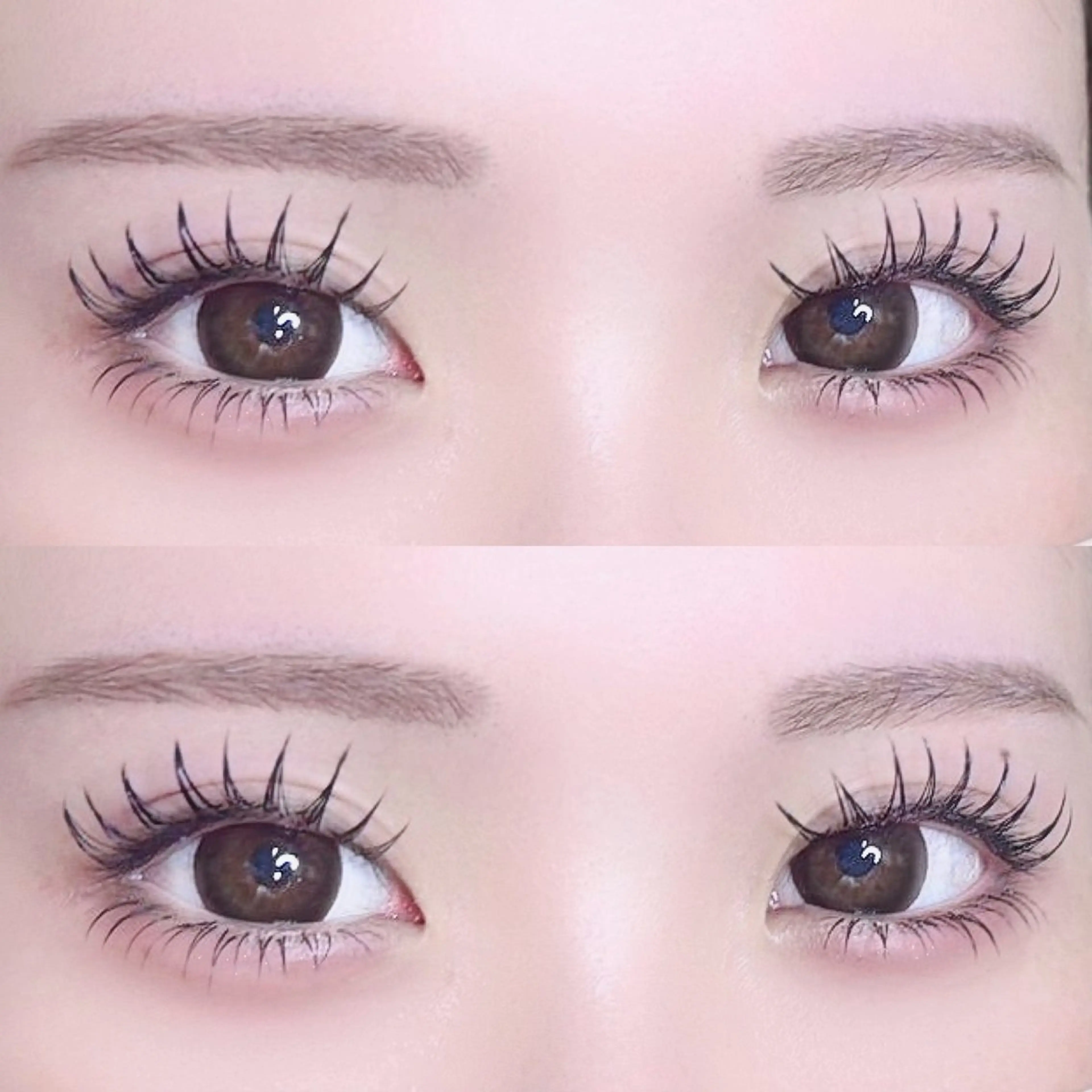 【パリエク120本】フラット/エクパーマ💫ˊ˗オフ込＋アイパック付き🫧J.JC.C.CC.Lの写真