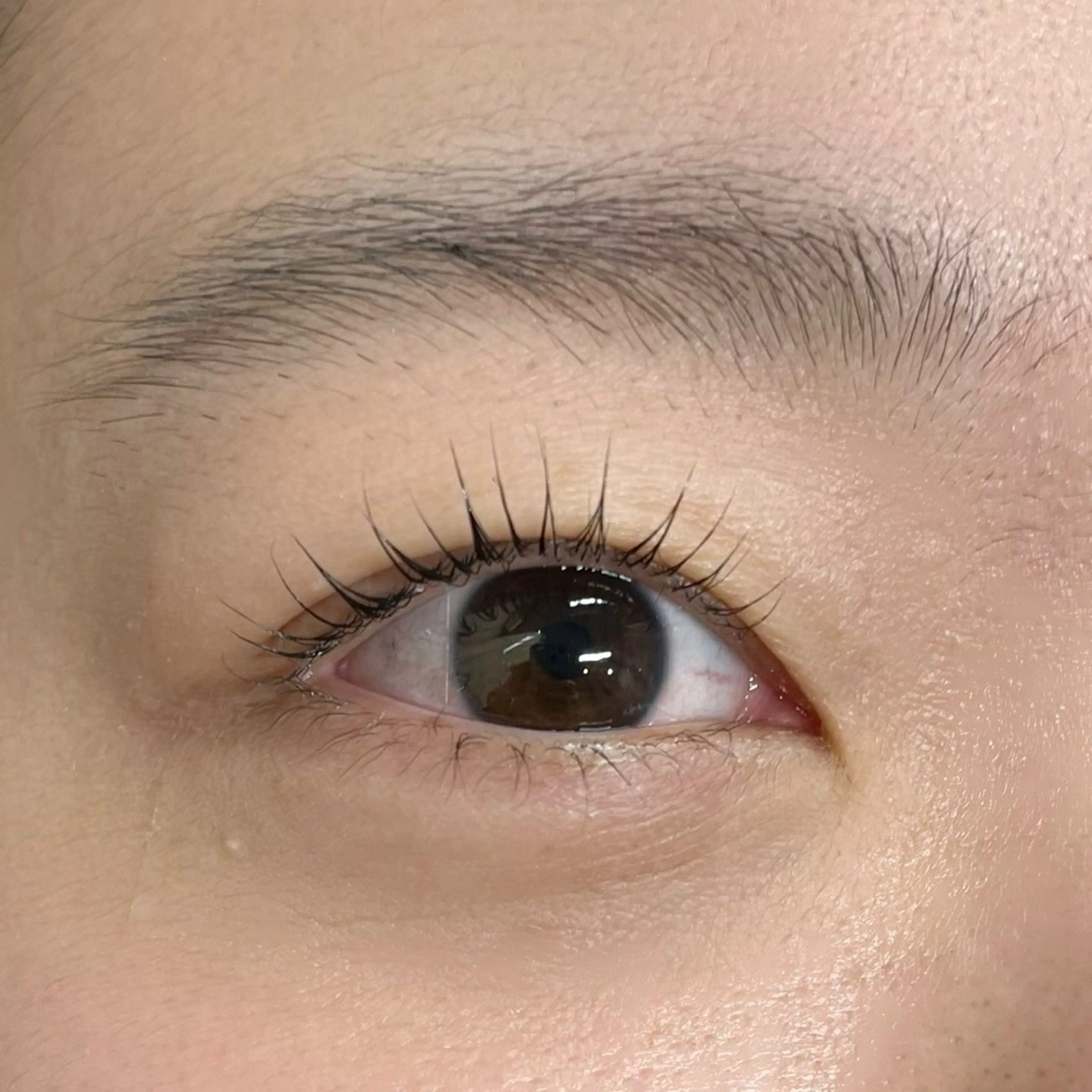 マツエク・マツパ Eden Eyelashのマツエク・マツパデザイン