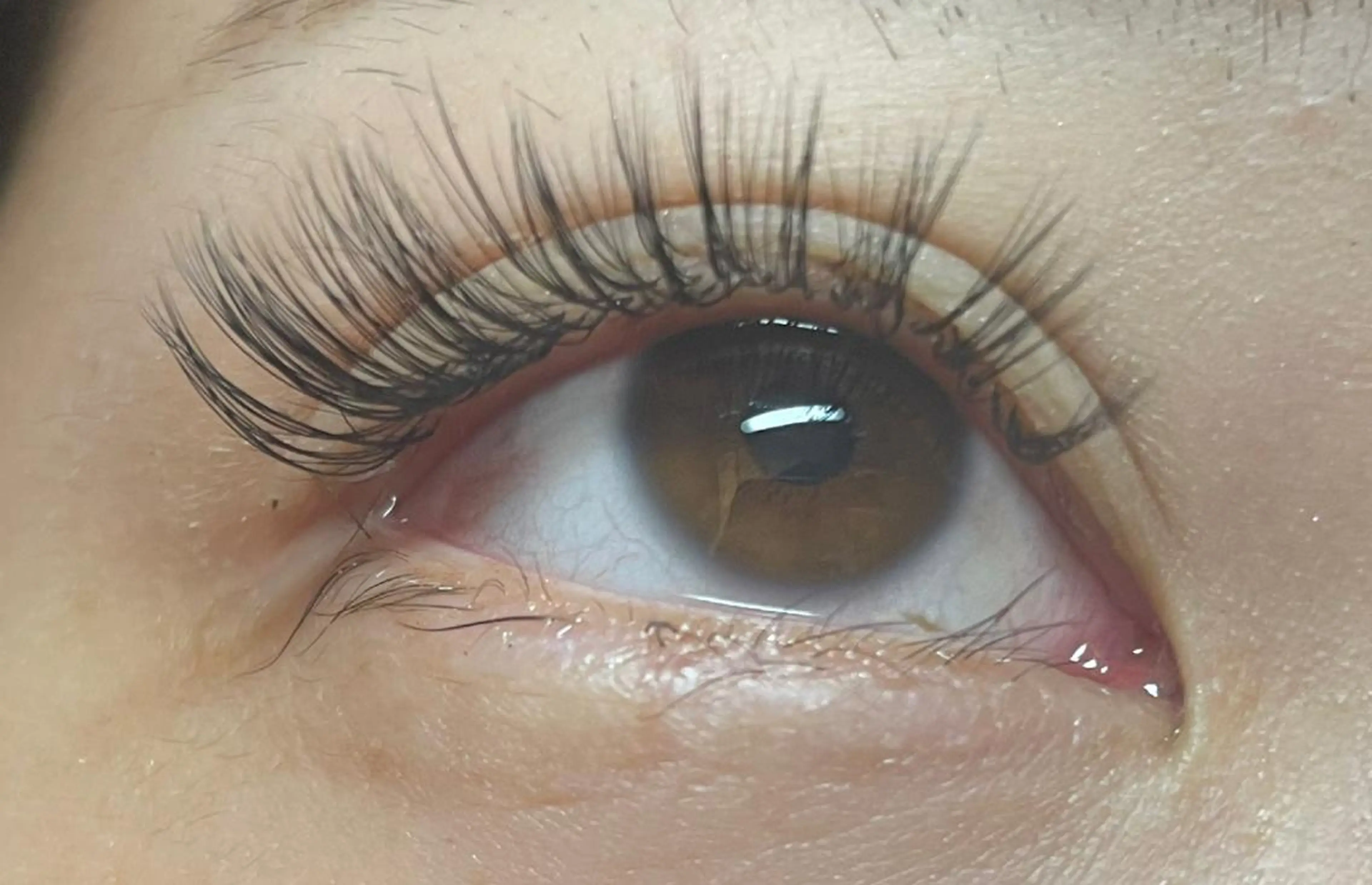 マツエク・マツパ ボリュームラッシュ princess 森 碧海のマツエク・マツパデザイン