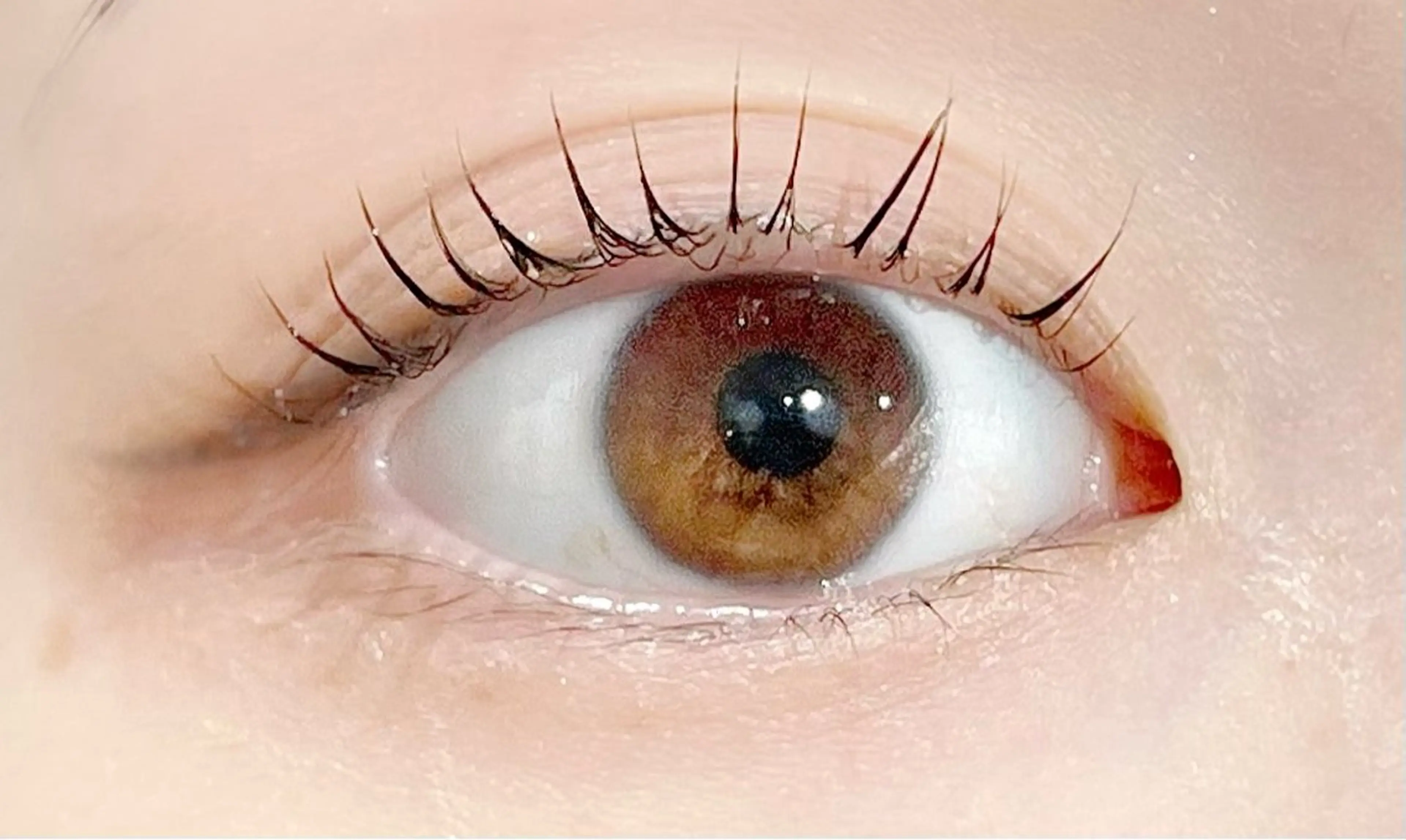 マツエク・マツパ マツパ Makea西新井店 井上のマツエク・マツパデザイン