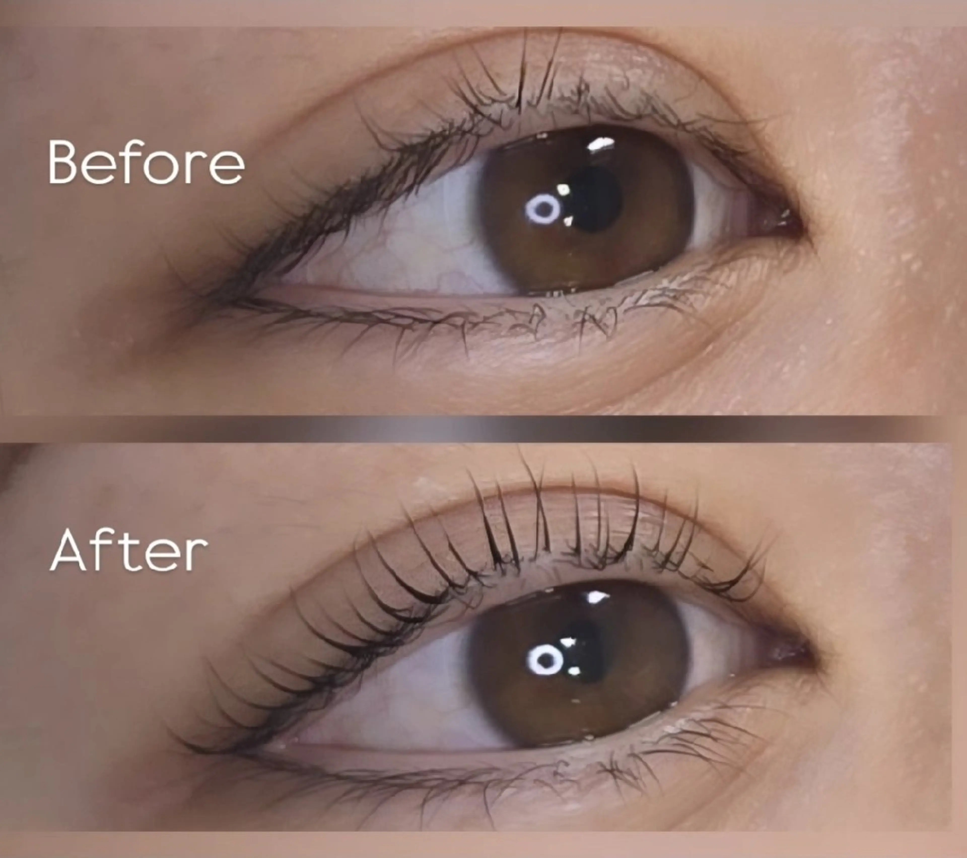 マツエク・マツパ Vine eyelashのマツエク・マツパデザイン