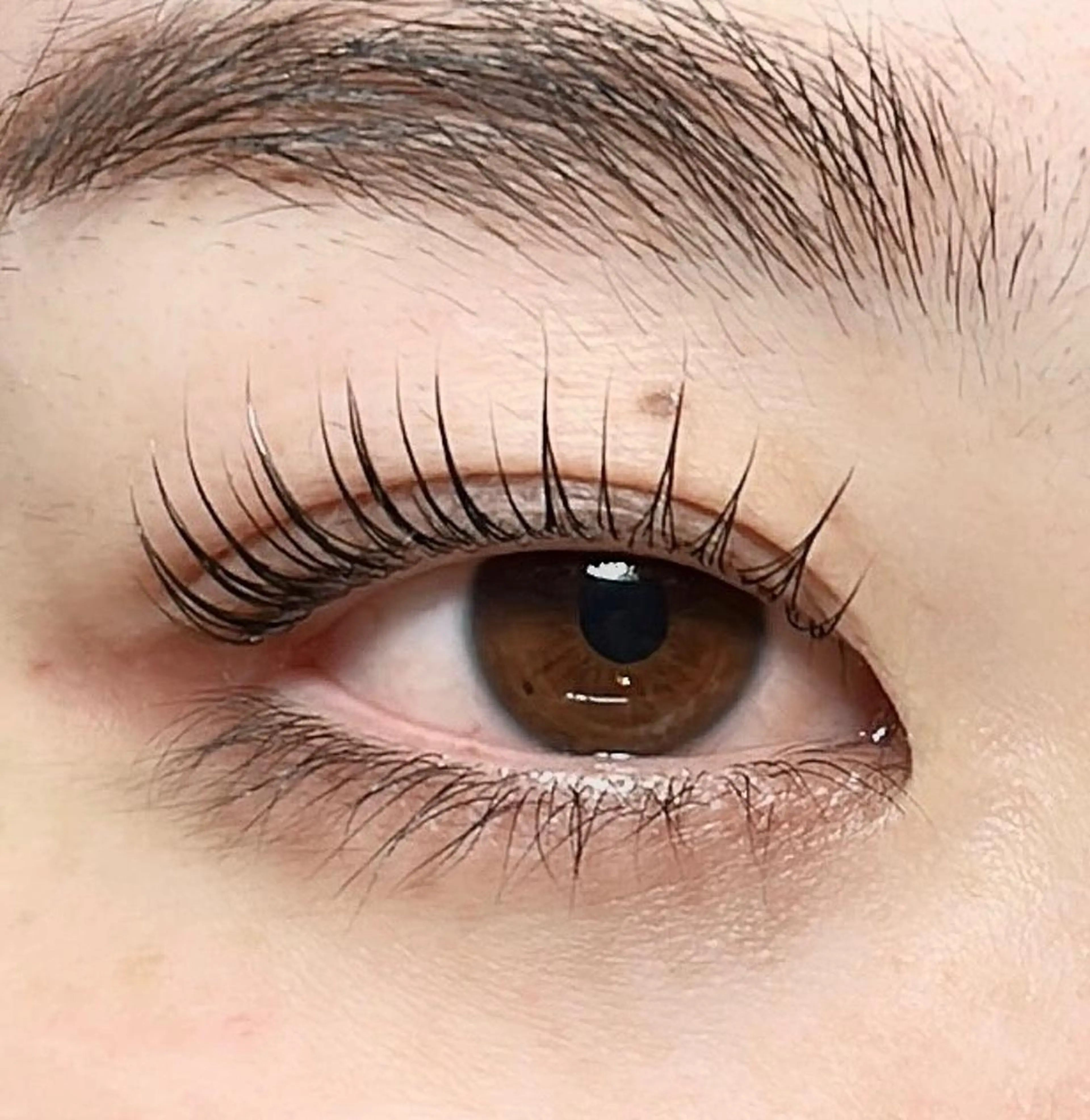 マツエク・マツパ パリジェンヌラッシュリフト eyelist ⌇ minami 𖠚ᐝのマツエク・マツパデザイン