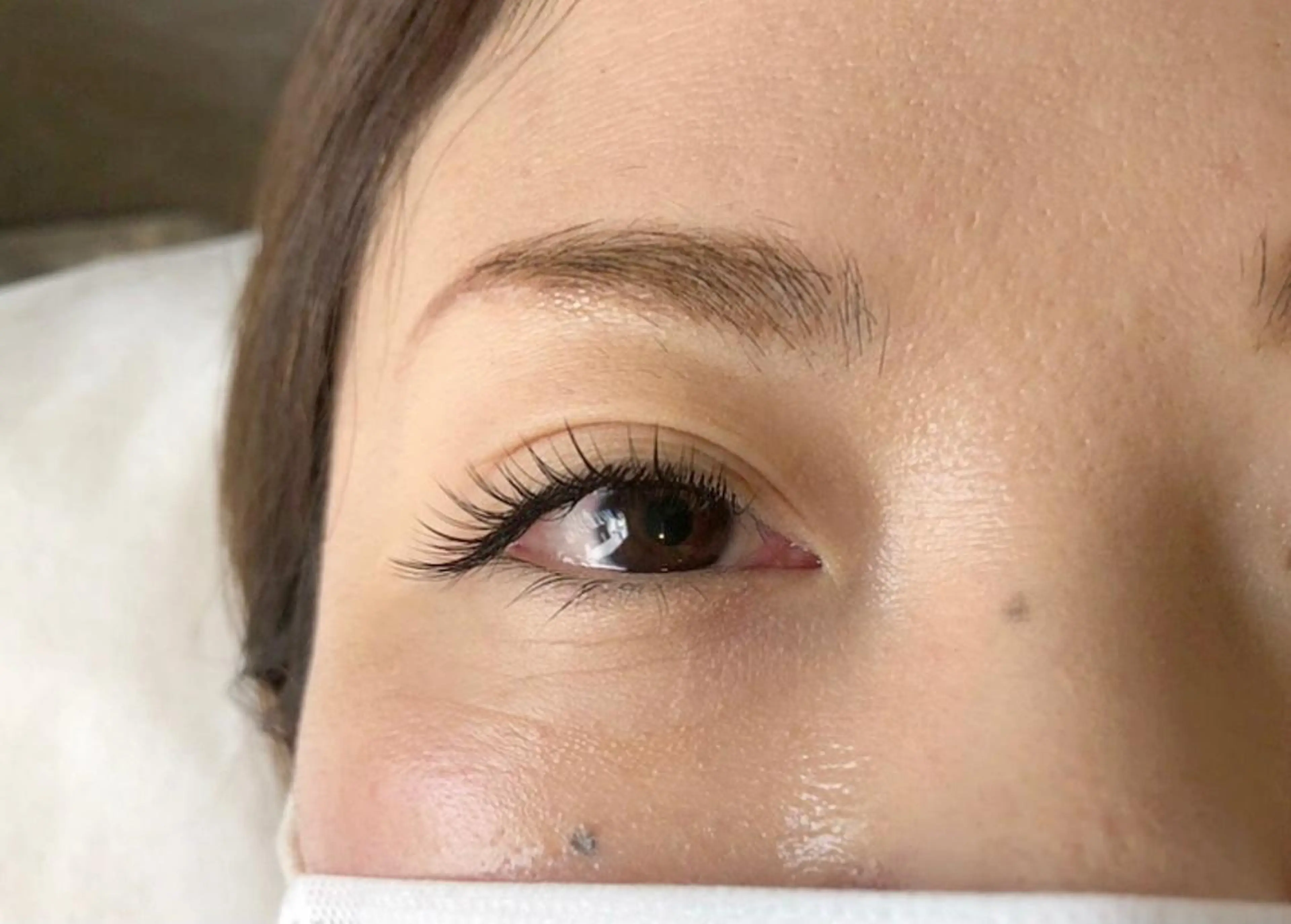 12月限定🎄フラットラッシュ120本の写真