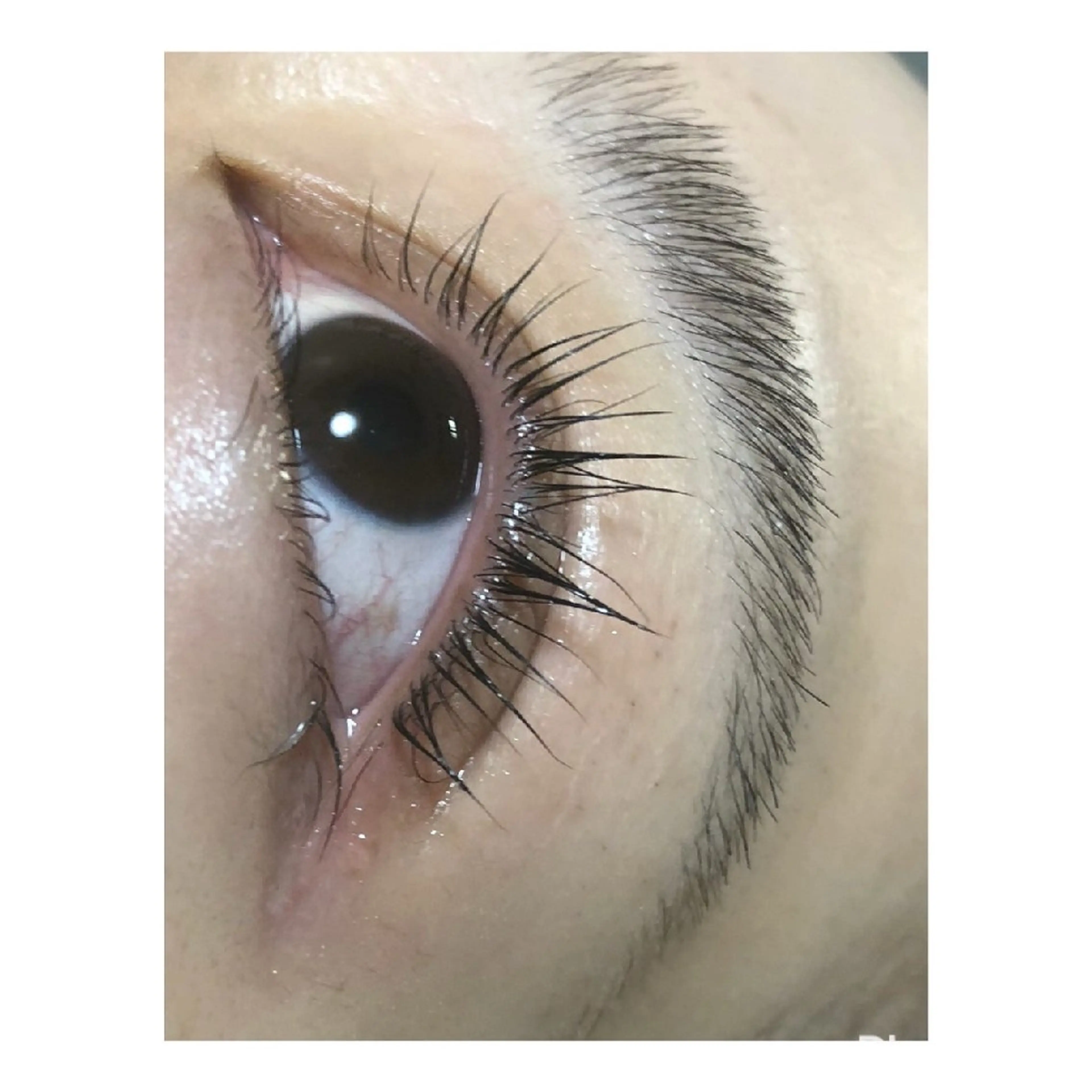 マツエク・マツパ まつげパーマ 越谷小顔痩身サロン南国‐蒼‐ao所属・南国‐蒼あお‐ ビューティーサロンのその他イメージ