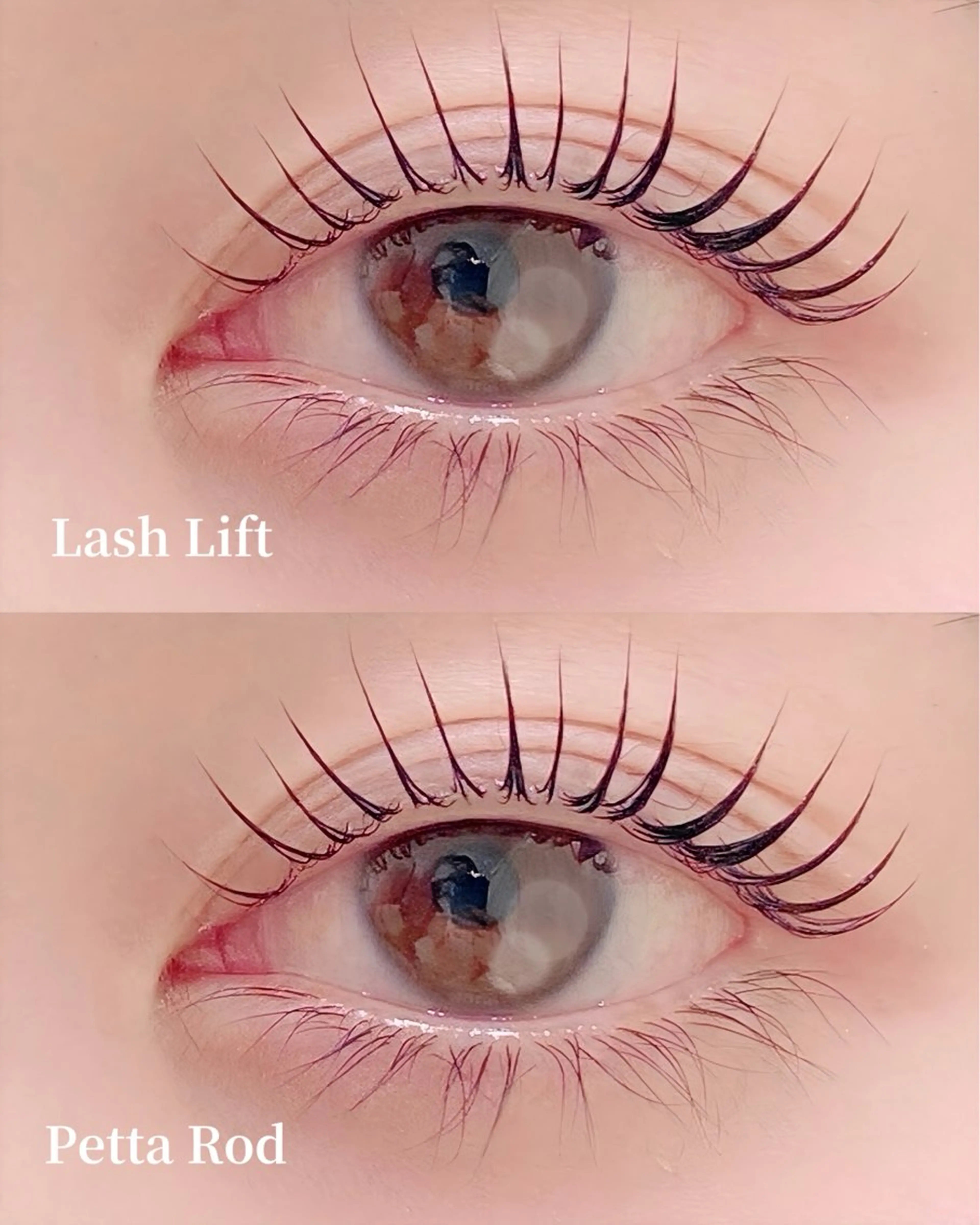 アイブロウ(美眉スタイリング)まつ毛パーマ(ラッシュリフト)セットメニュー💫💫の写真