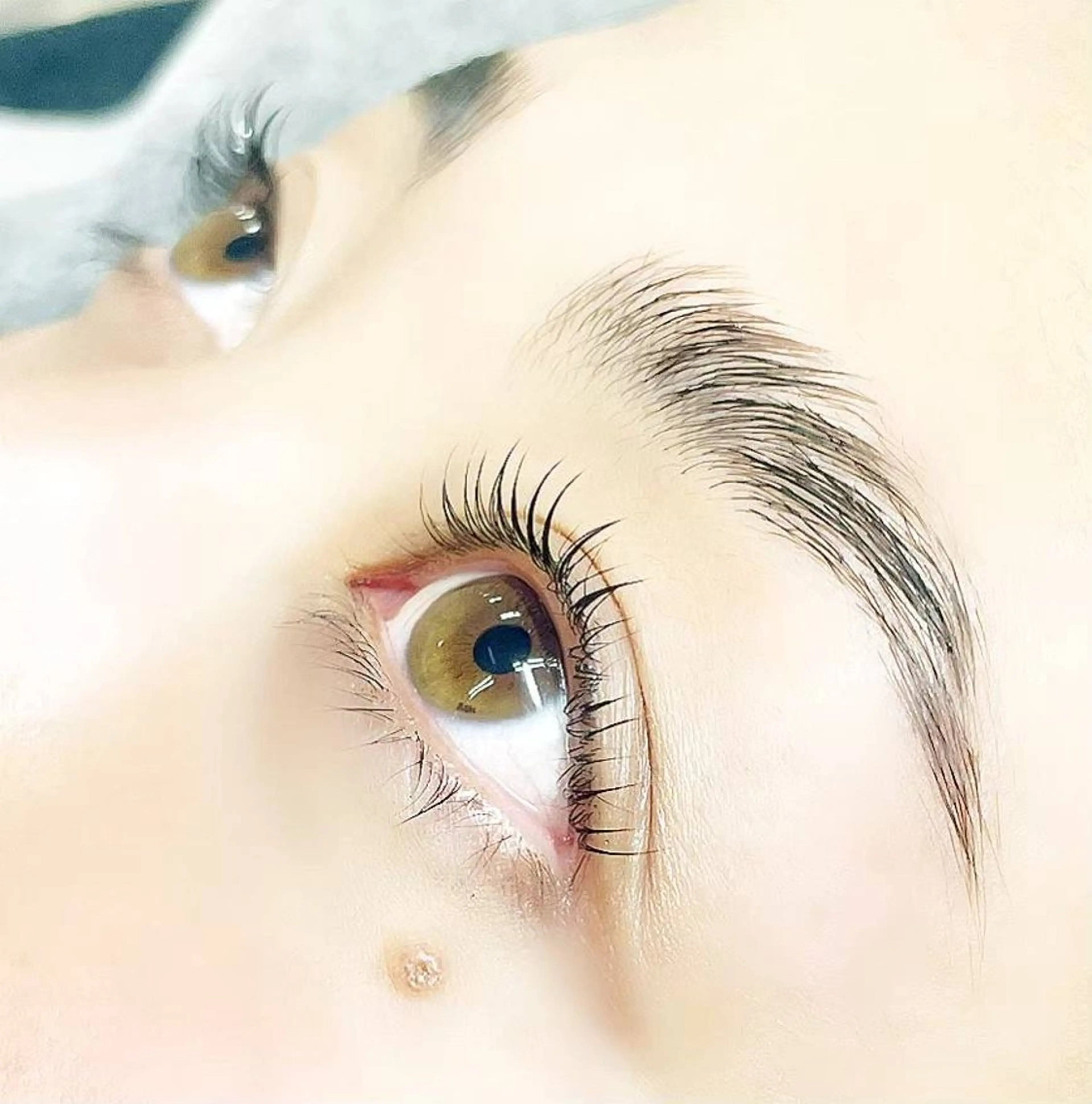 アイブロウ ワックス脱毛 その他(アイブロウ) eyelash R𓇼eri🐈️の眉毛・アイブロウイメージ