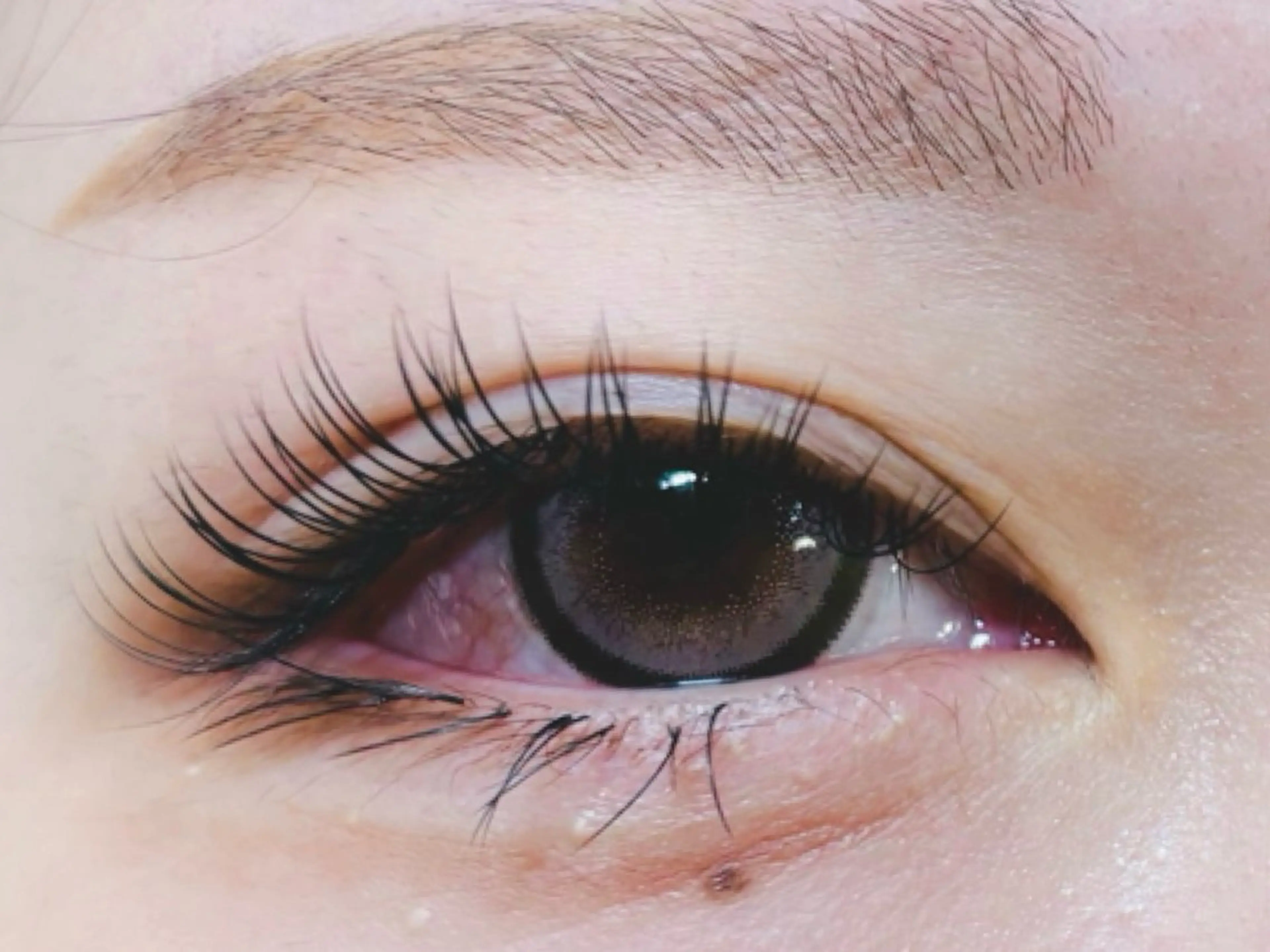 マツエク・マツパ 付け放題 バインドロック 束感まつ毛 フラットラッシュ パリジェンヌラッシュリフト マツエク オーロラ所属・AURORA RINAのマツエク・マツパデザイン