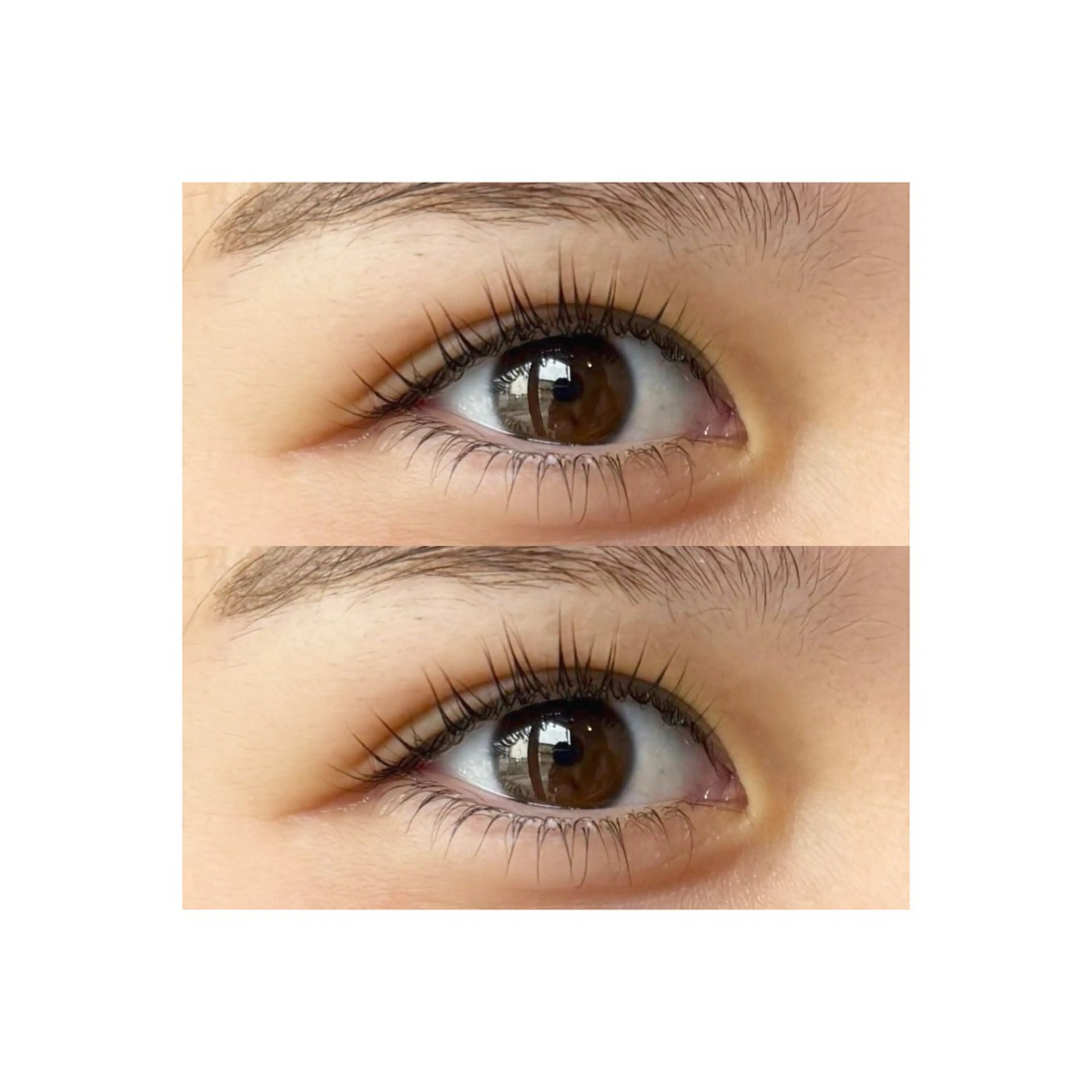 マツエク・マツパ マツパ U too e's MANAE🌼の眉毛・アイブロウイメージ